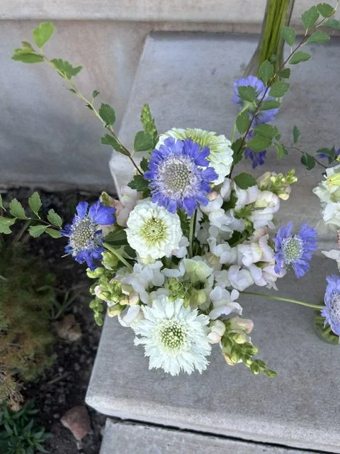 image1 (1).jpeg