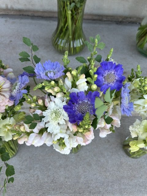 image3 (1).jpeg