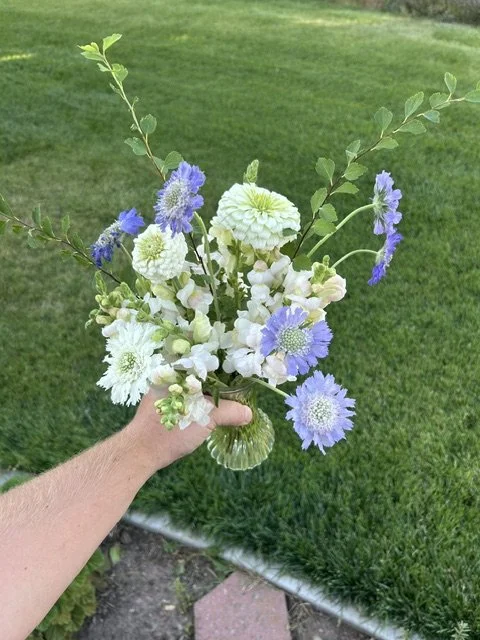 image6 (3).jpeg