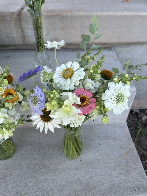 image2 (2).jpeg