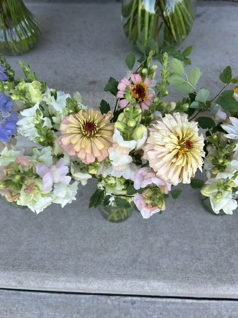image0 (2).jpeg