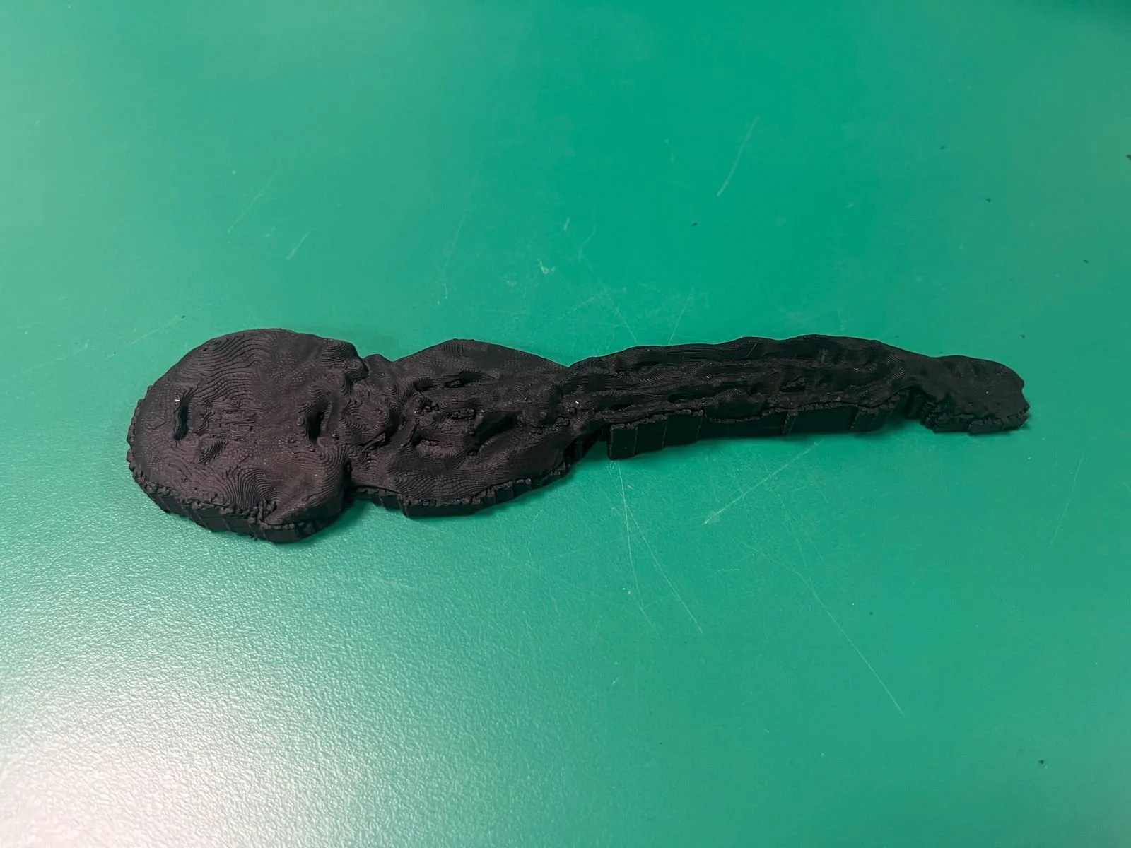 WhatsApp Image 2025-09-30 at 19.11.14.jpeg