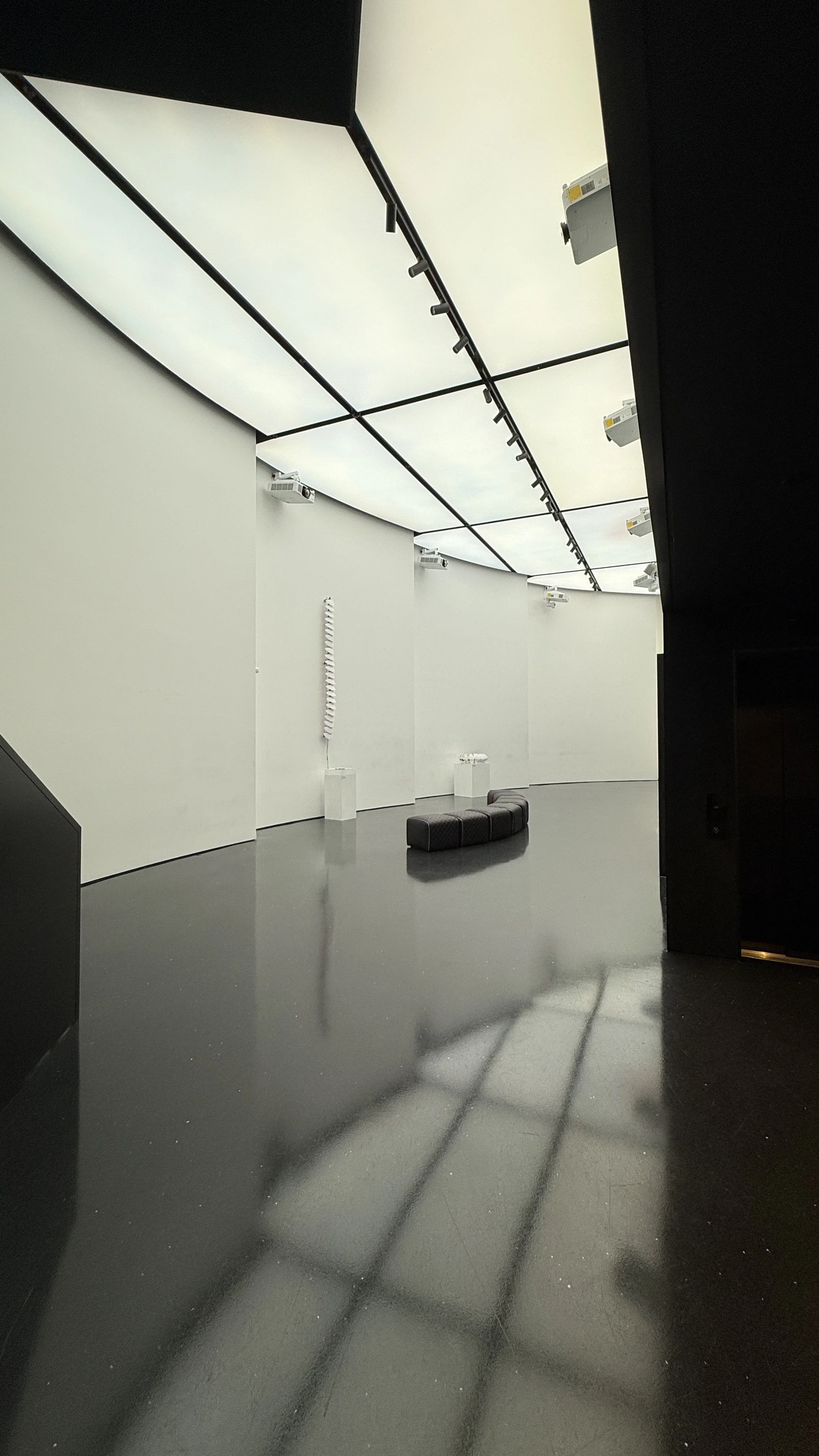 room-wide_from-entry-ceiling_IMG_9302.JPG