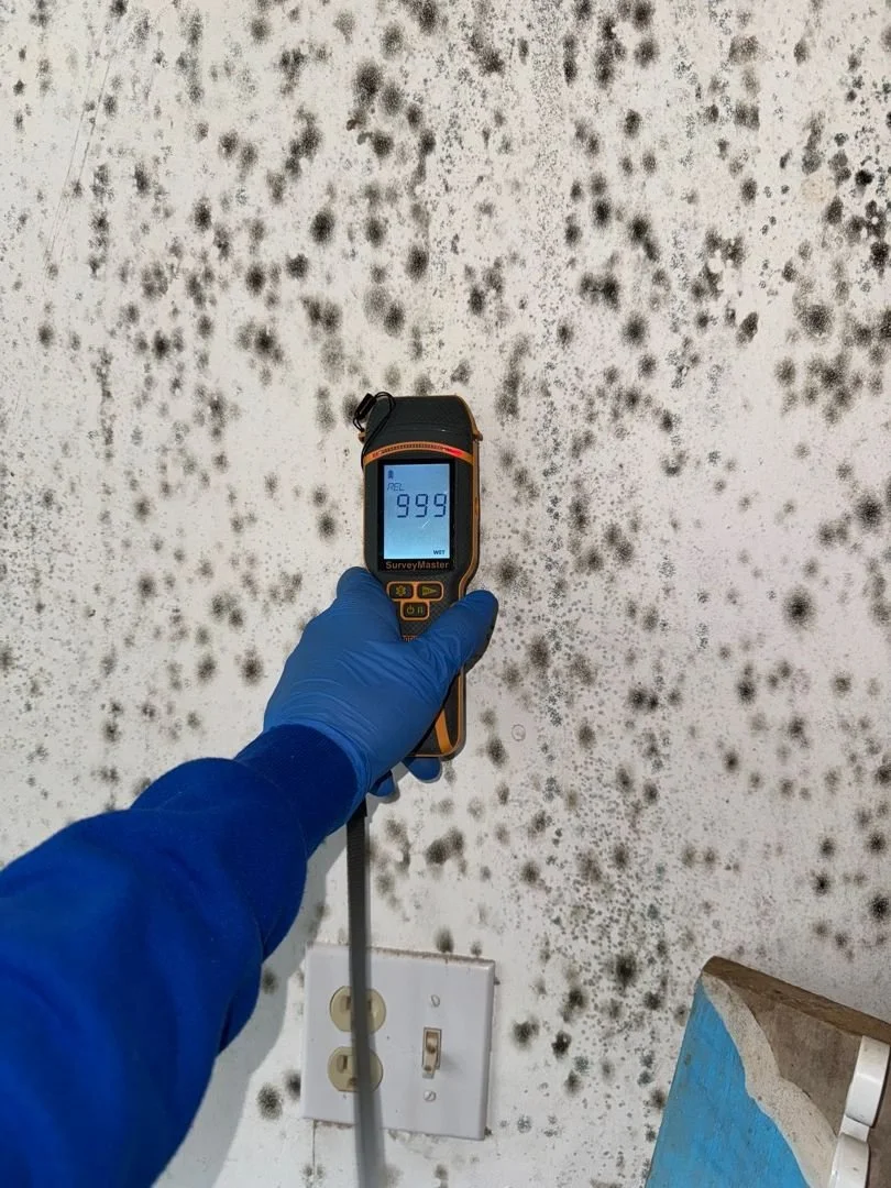 How Fast Does Mold Grow After Water Damage?