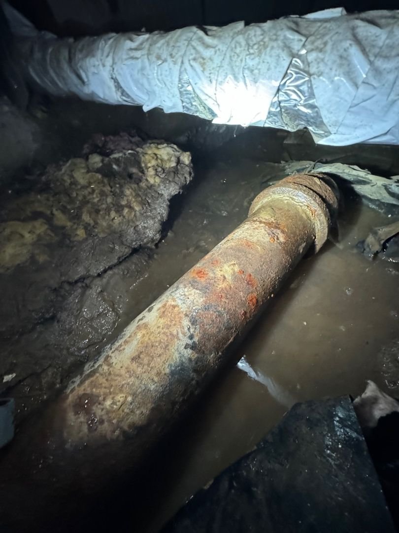 Sewage Backup in Your Home? Why Plumbing Repair and Professional Cleanup Go Hand in Hand