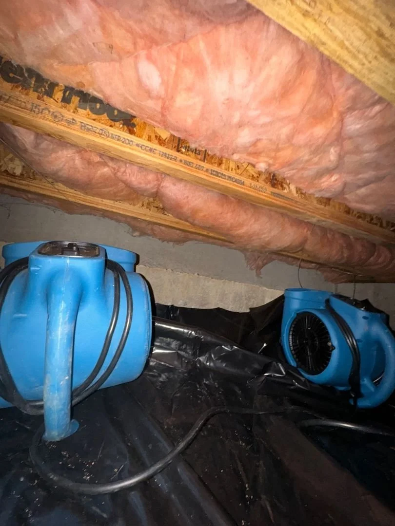 7 Signs of Crawlspace Moisture Homeowners Shouldn't Ignore