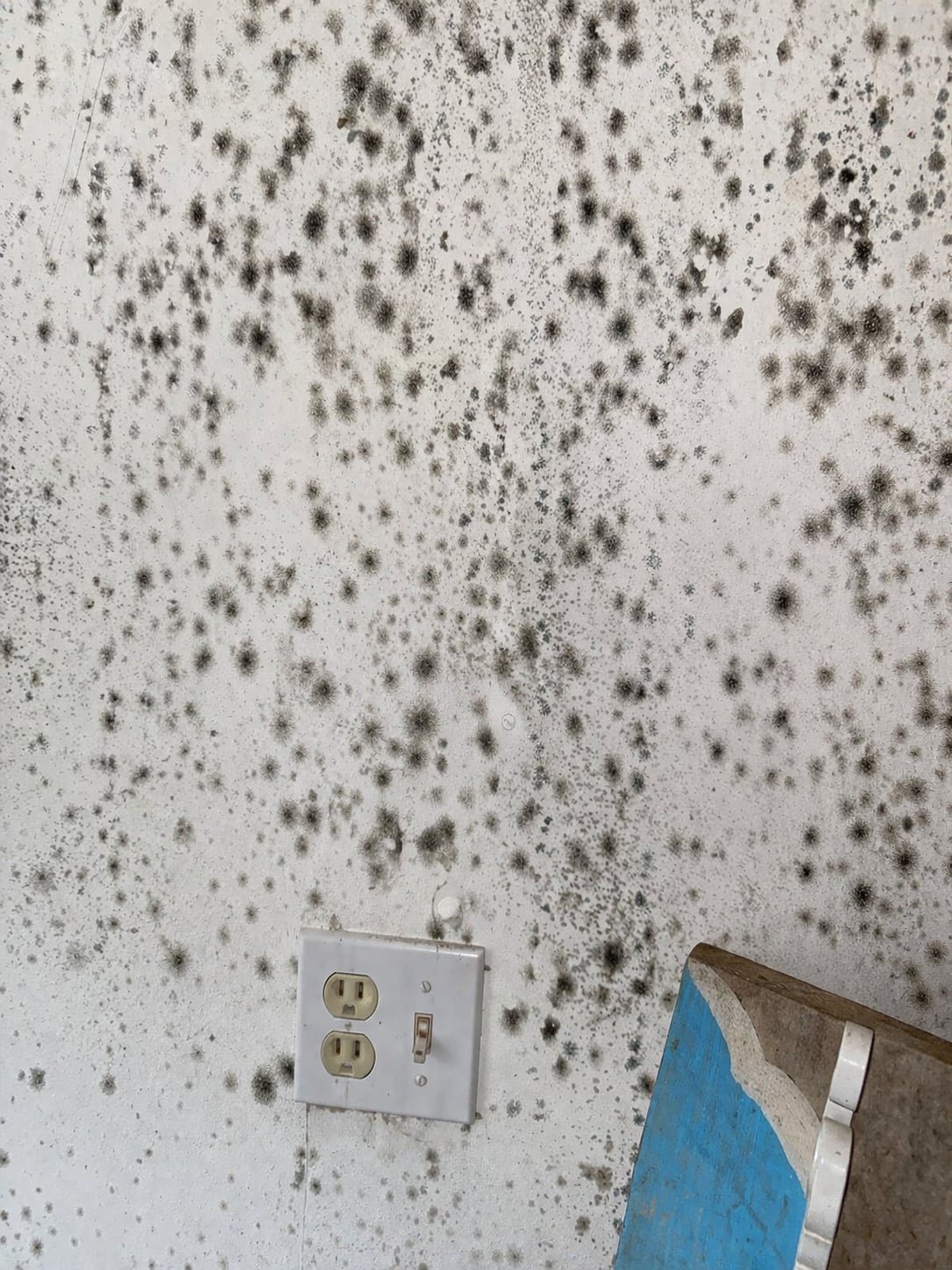 White wall with black mold spots near a power outlet shows clear mold damage in Vancouver, WA; damaged blue and wood object nearby.