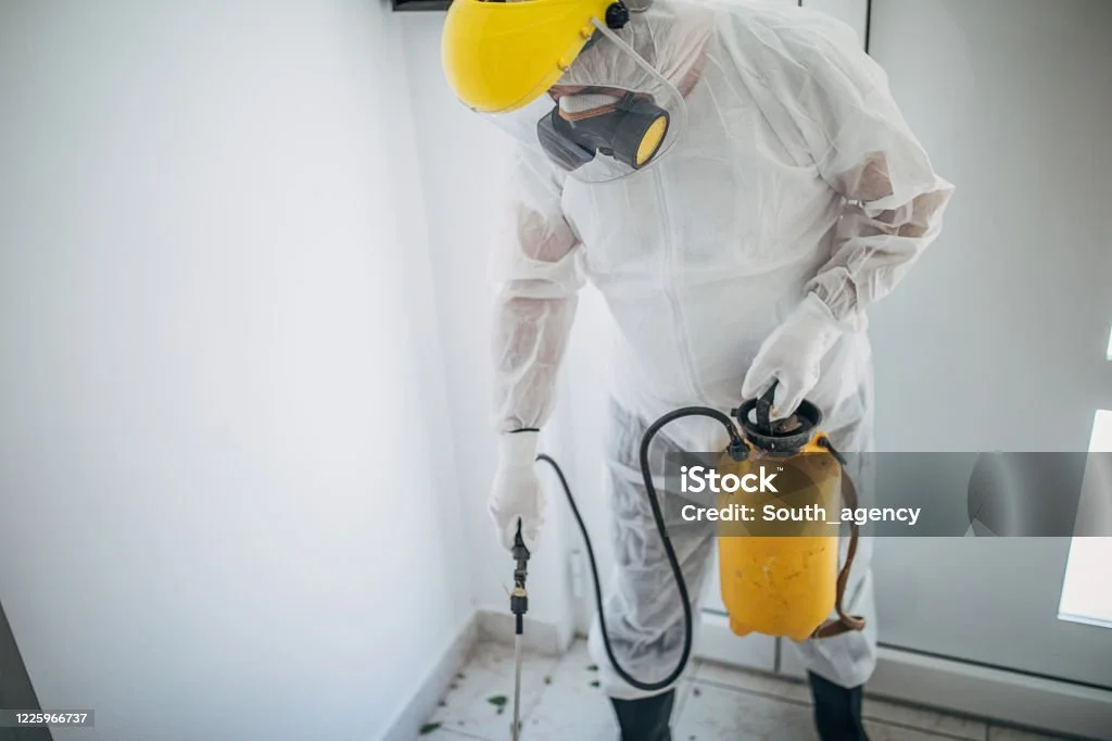 A person in protective gear sprays pesticide indoors, showcasing a professional sewage cleanup and sanitation service approach.