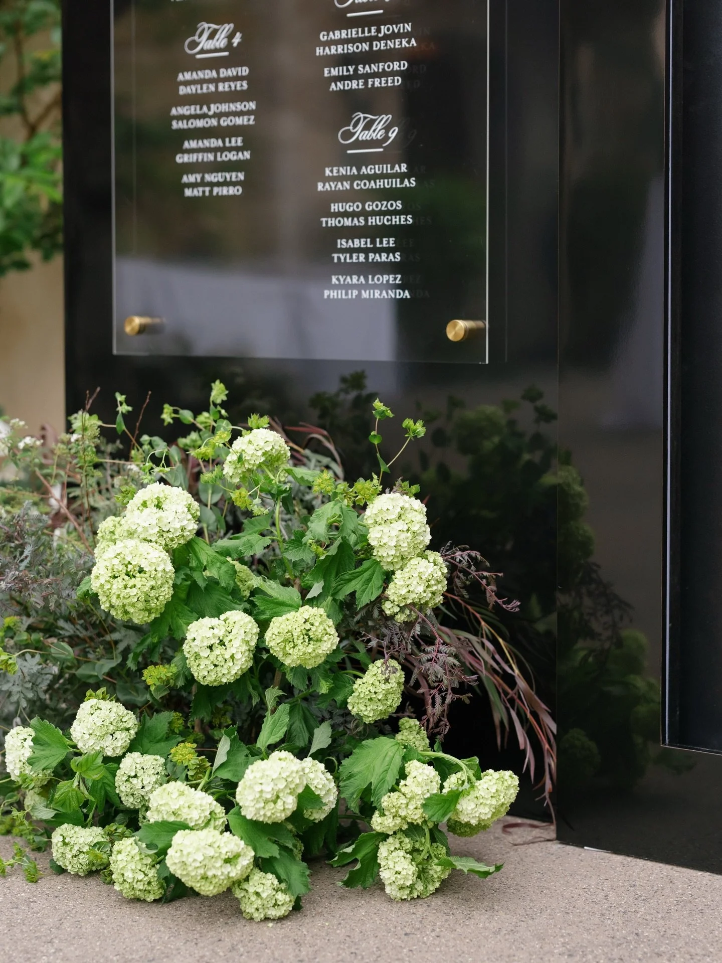 Seating charts that make a stylish statement are our fave 

Venue/Event host: @monserateweddings
Planner/ Event Design: @forevermoreweddingsbystephsd
Lead Photographer: @sandrayvette.photography
Photography/Content creation: @xoandfetti
Florals: @pet