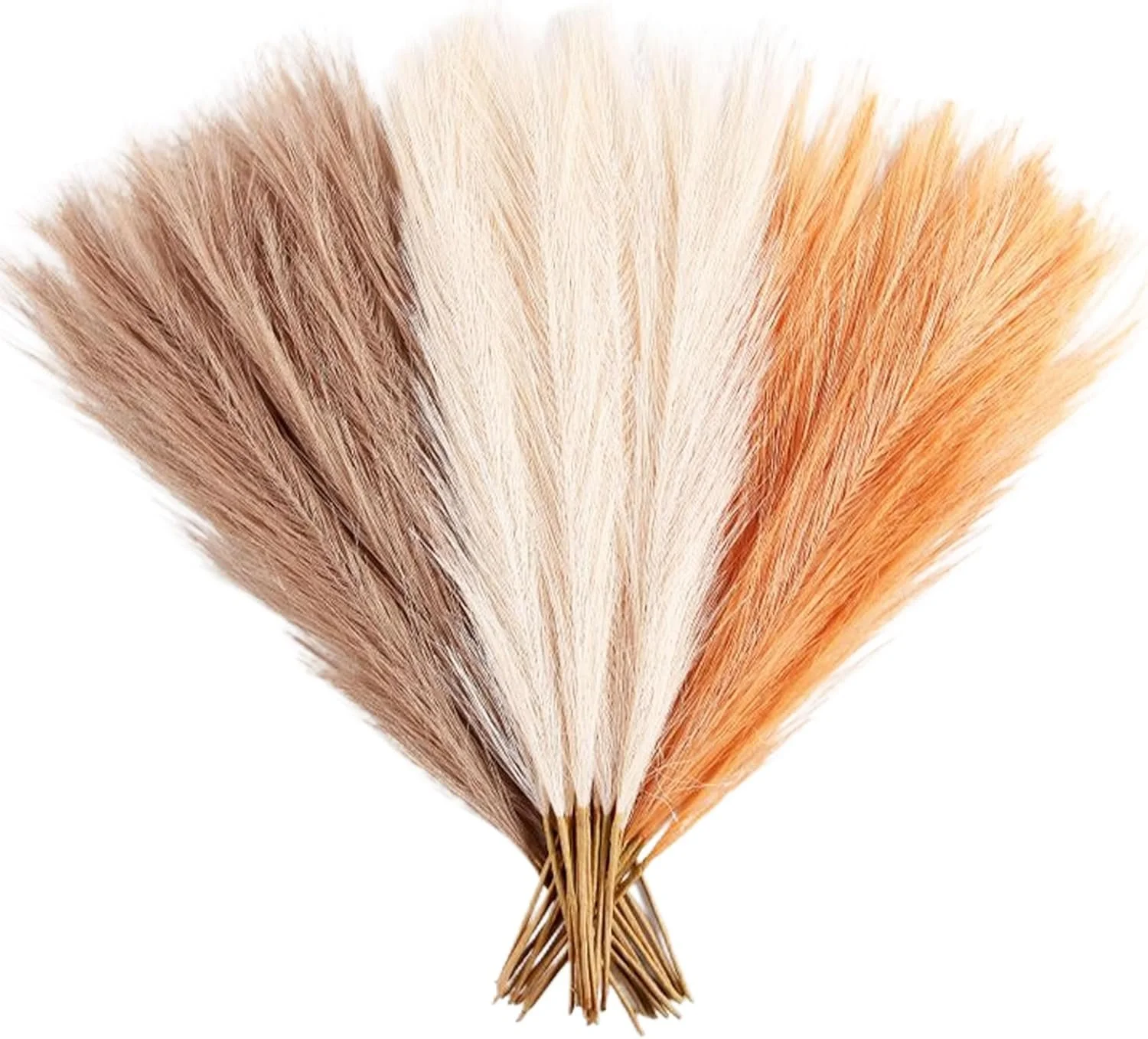 GRASSLAND: Pampas Grass- small