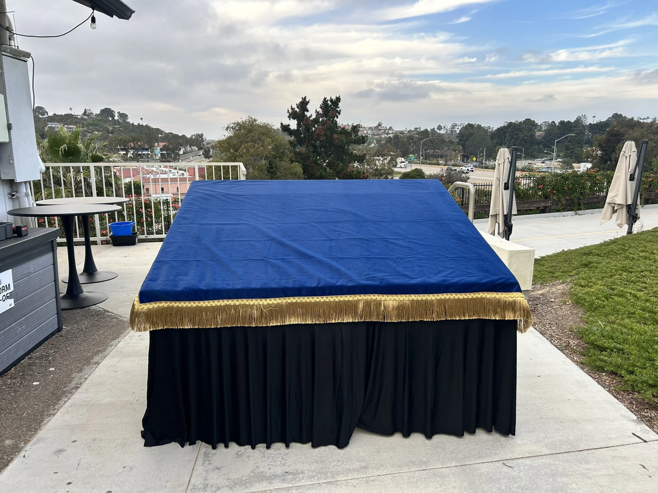 Rolling magic carpet platform for Aladdin Jr covered in blue velvet with gold fringe  for actor movement in school musical production.