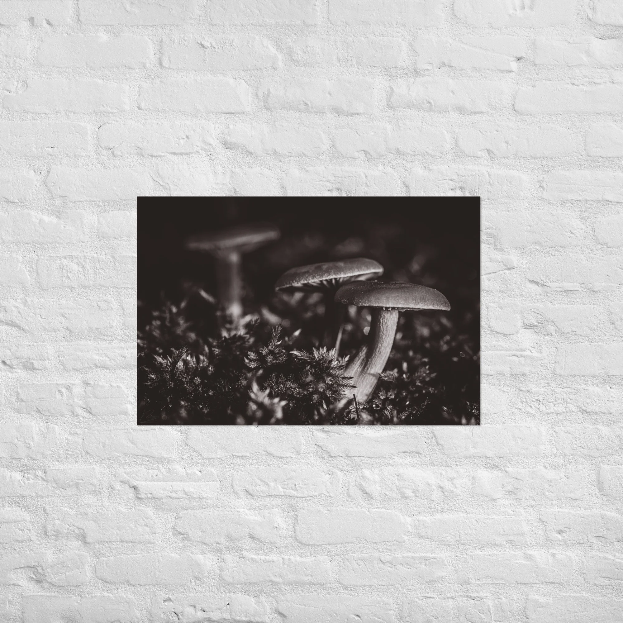 enhanced-matte-paper-poster-(in)-20x30-front-693cf4f906f44.jpg