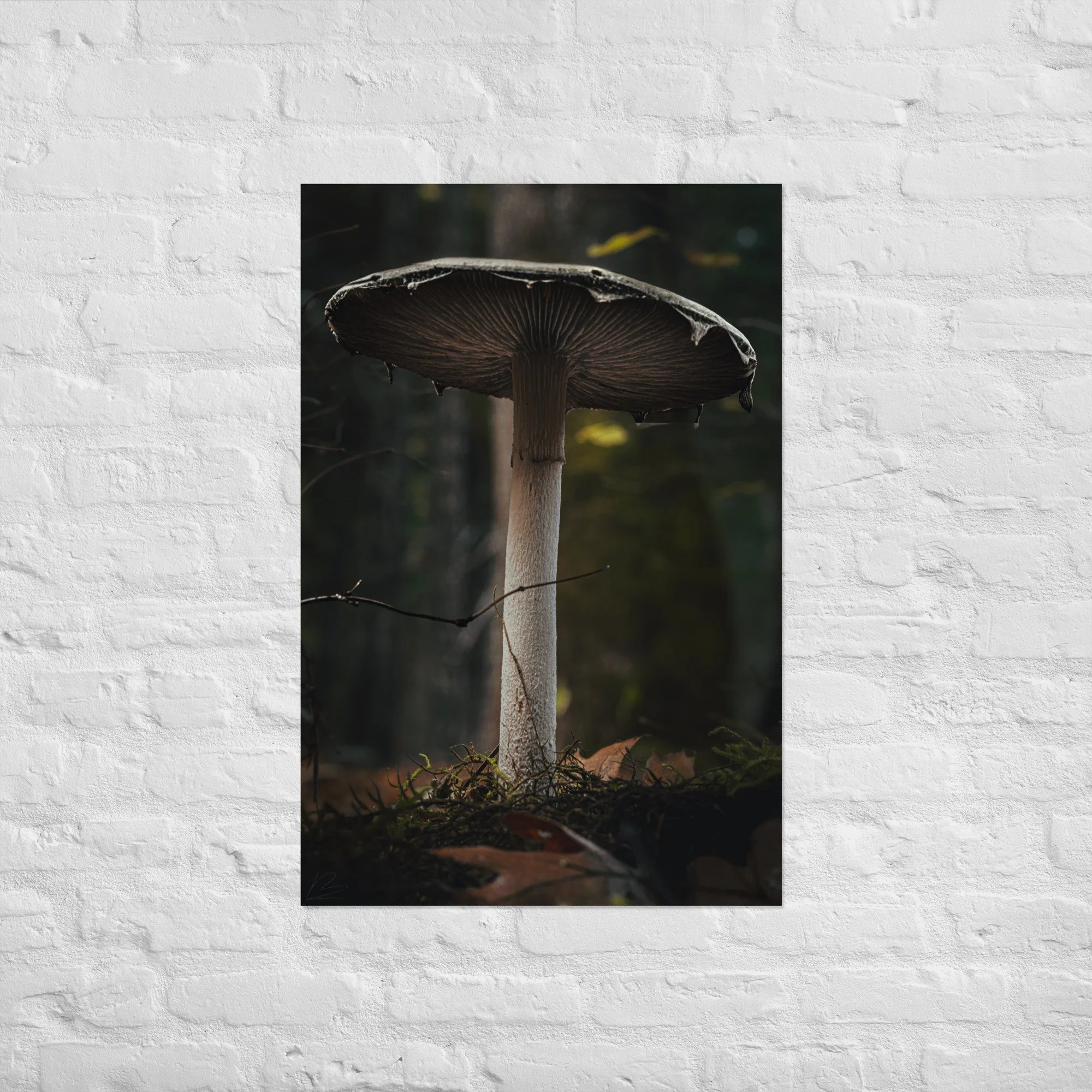 enhanced-matte-paper-poster-(in)-24x36-front-693cf50bbdfe9.jpg