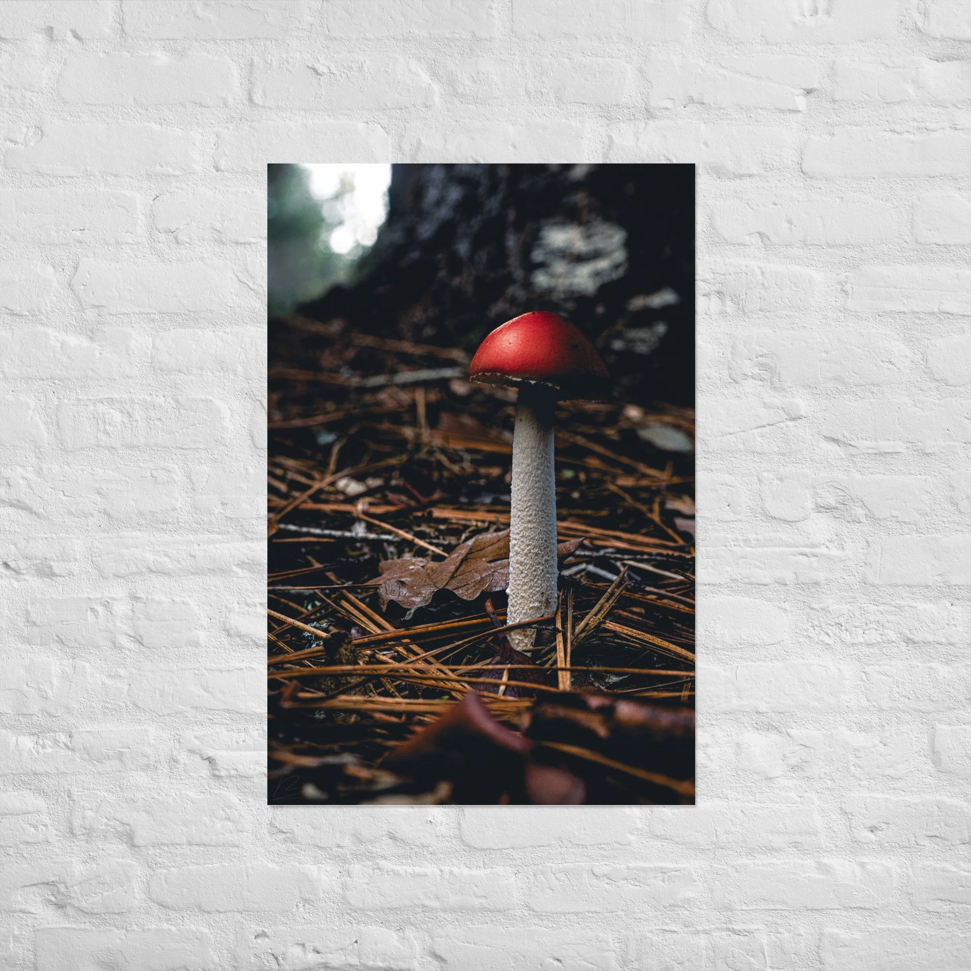 enhanced-matte-paper-poster-(in)-24x36-front-693cf523ca00c.jpg