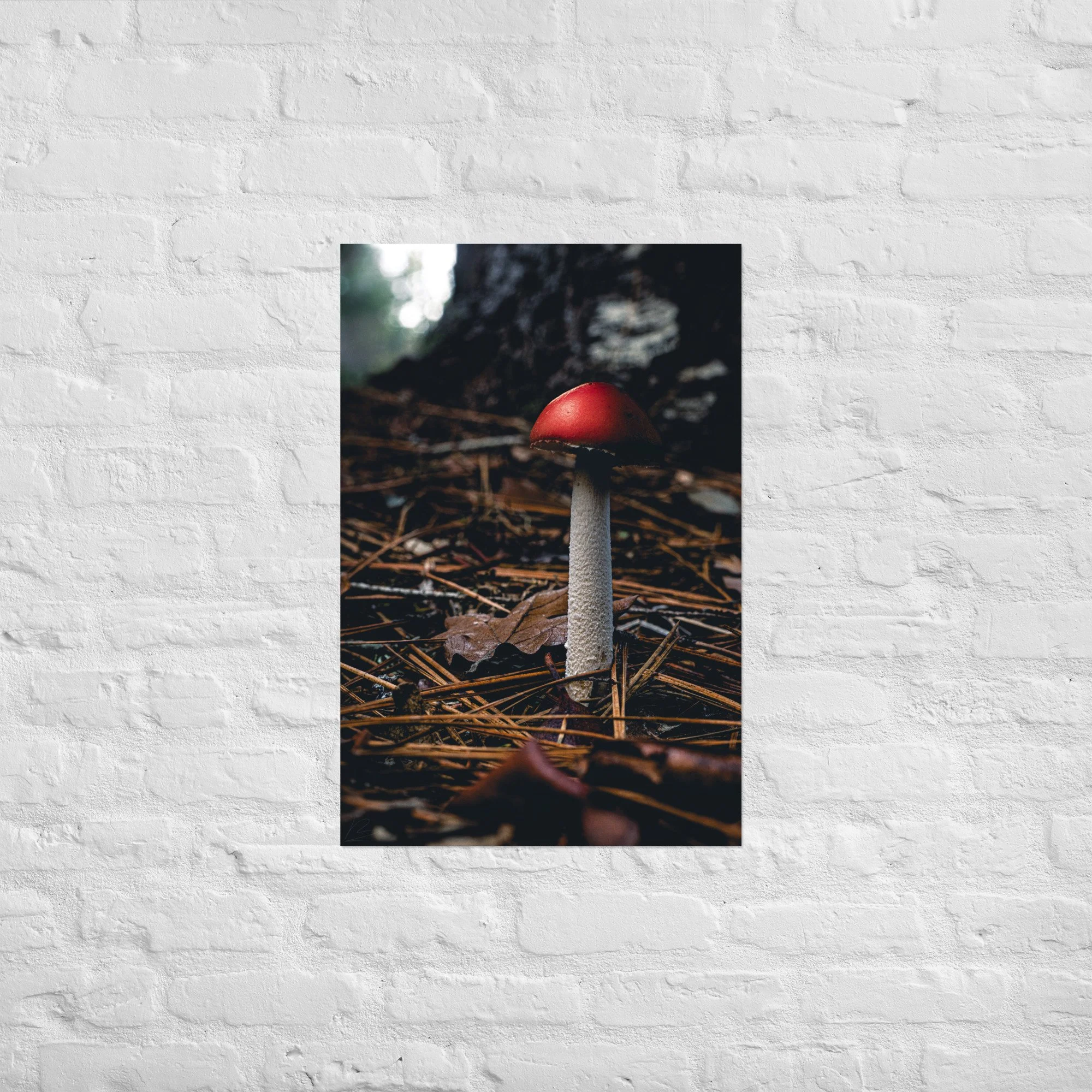 enhanced-matte-paper-poster-(in)-20x30-front-693cf523cb084.jpg