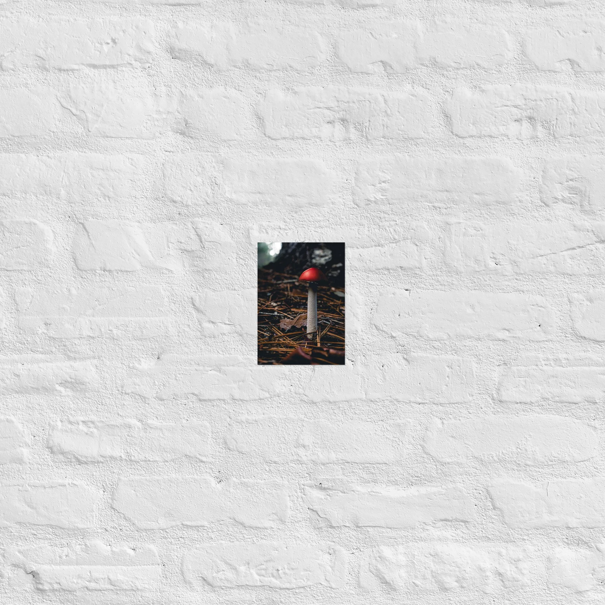 enhanced-matte-paper-poster-(in)-5x7-front-693cf523cb21a.jpg
