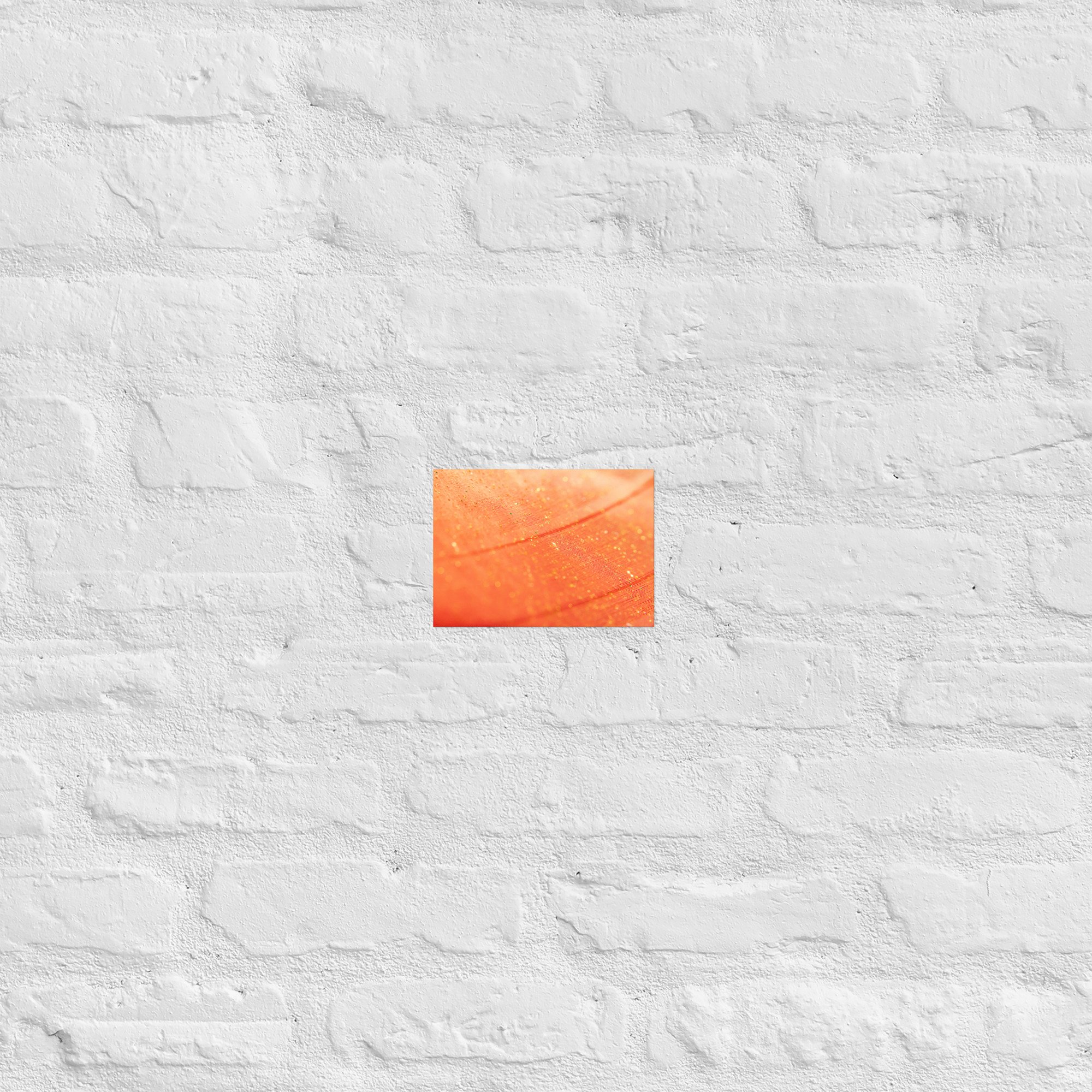 enhanced-matte-paper-poster-(in)-5x7-front-693cfbadb4502.jpg