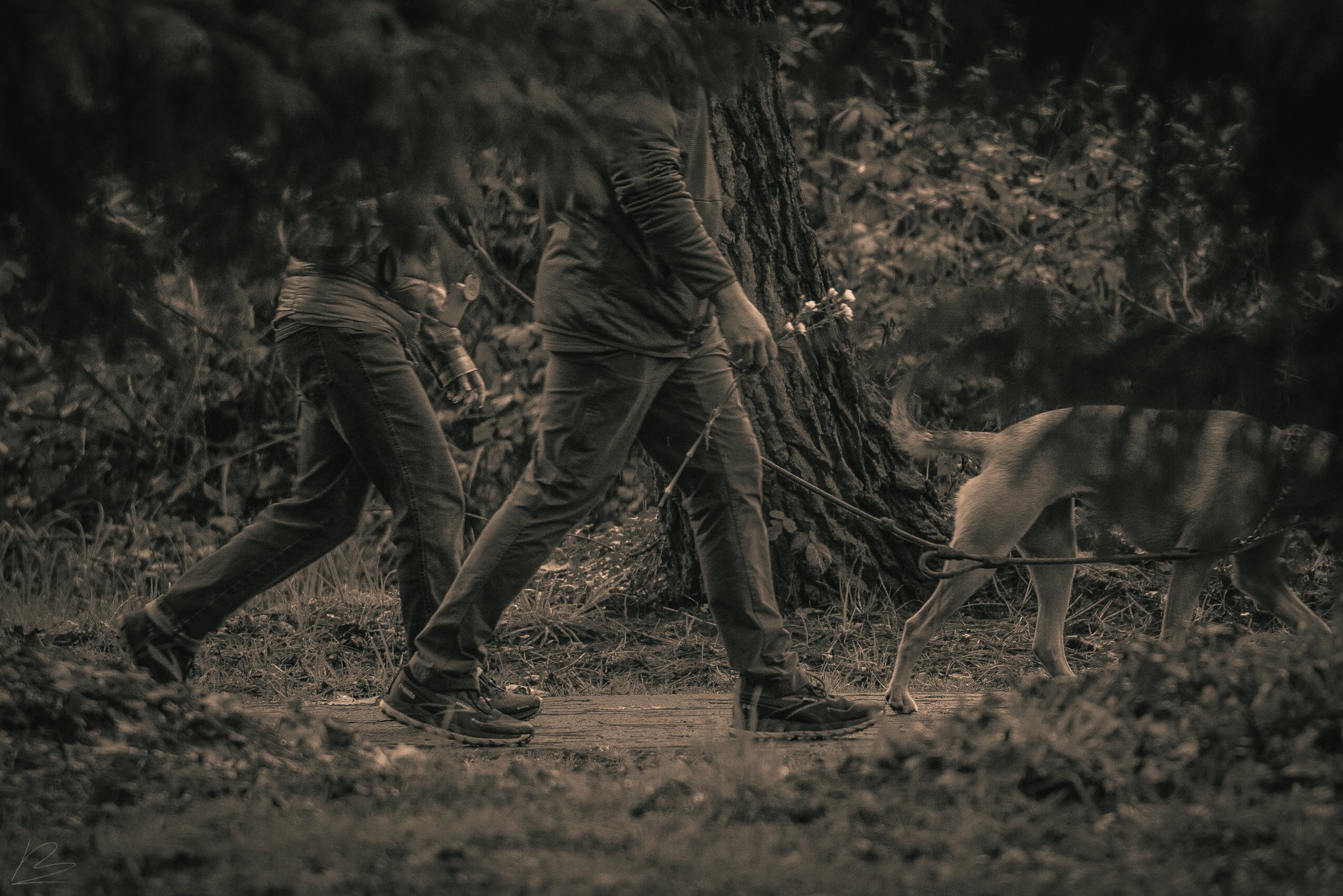 Grants Pass Walk for Peace 3.01.26