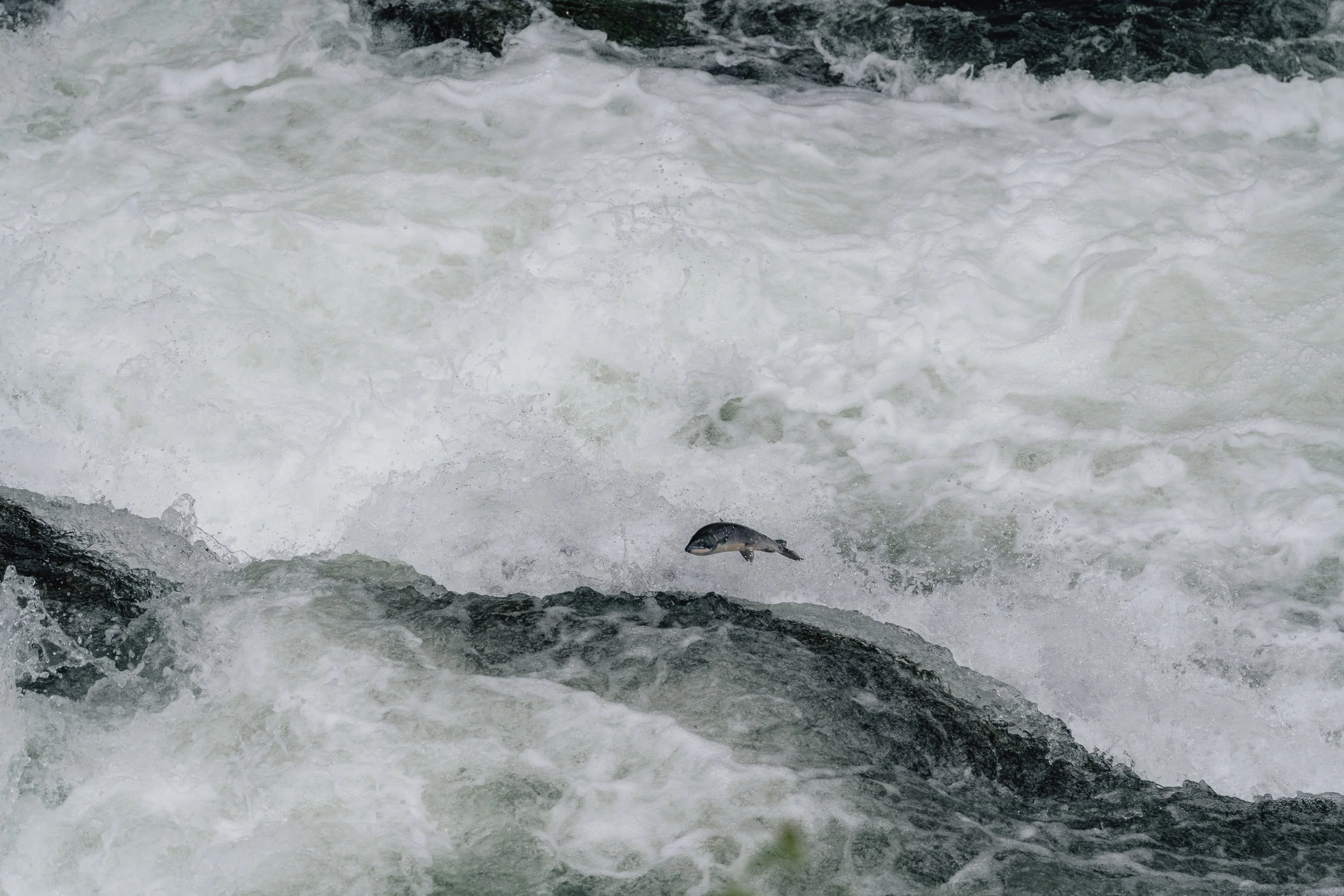 Alaska-114.jpg
