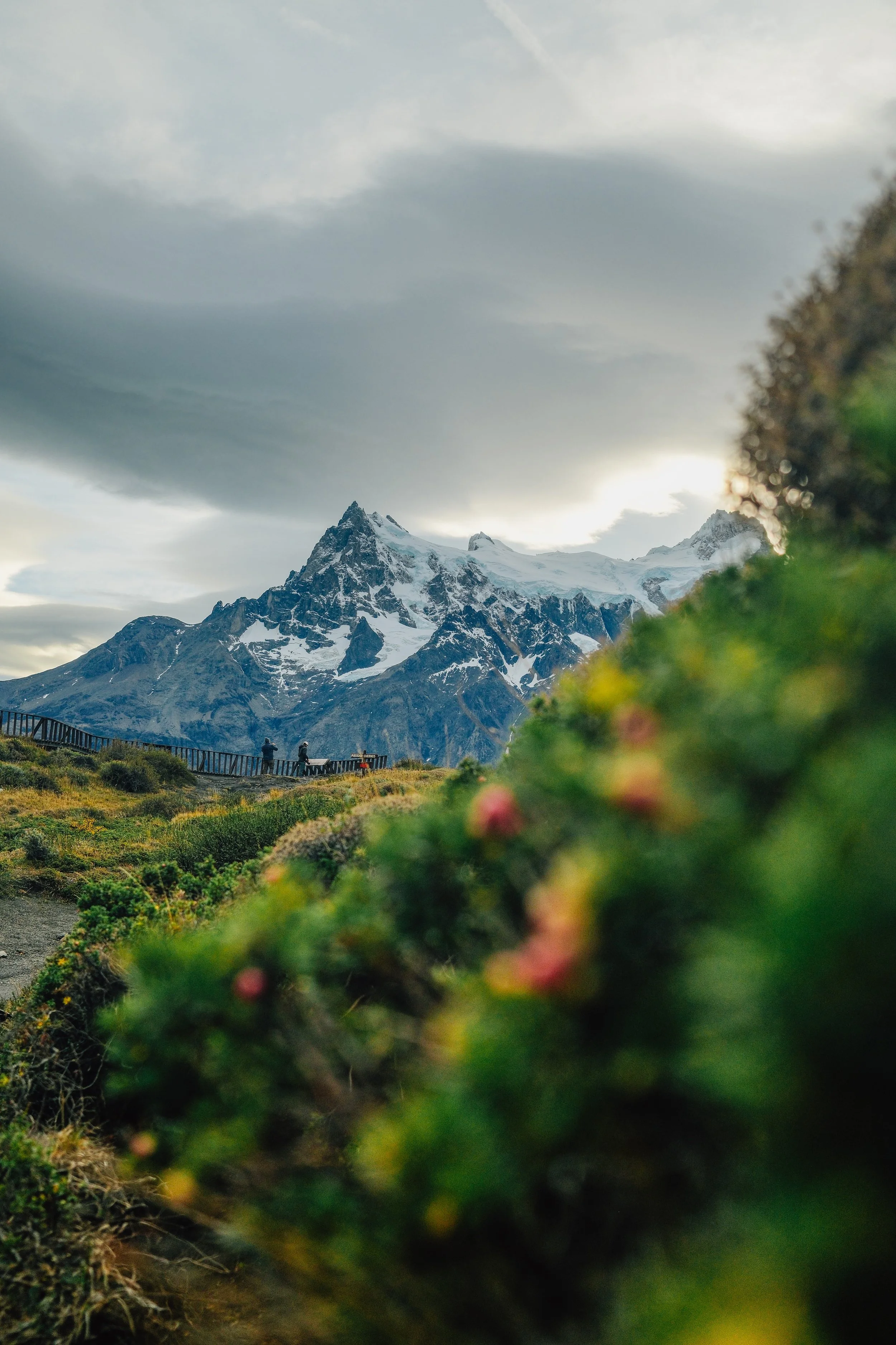 Lago Grey-10.jpg