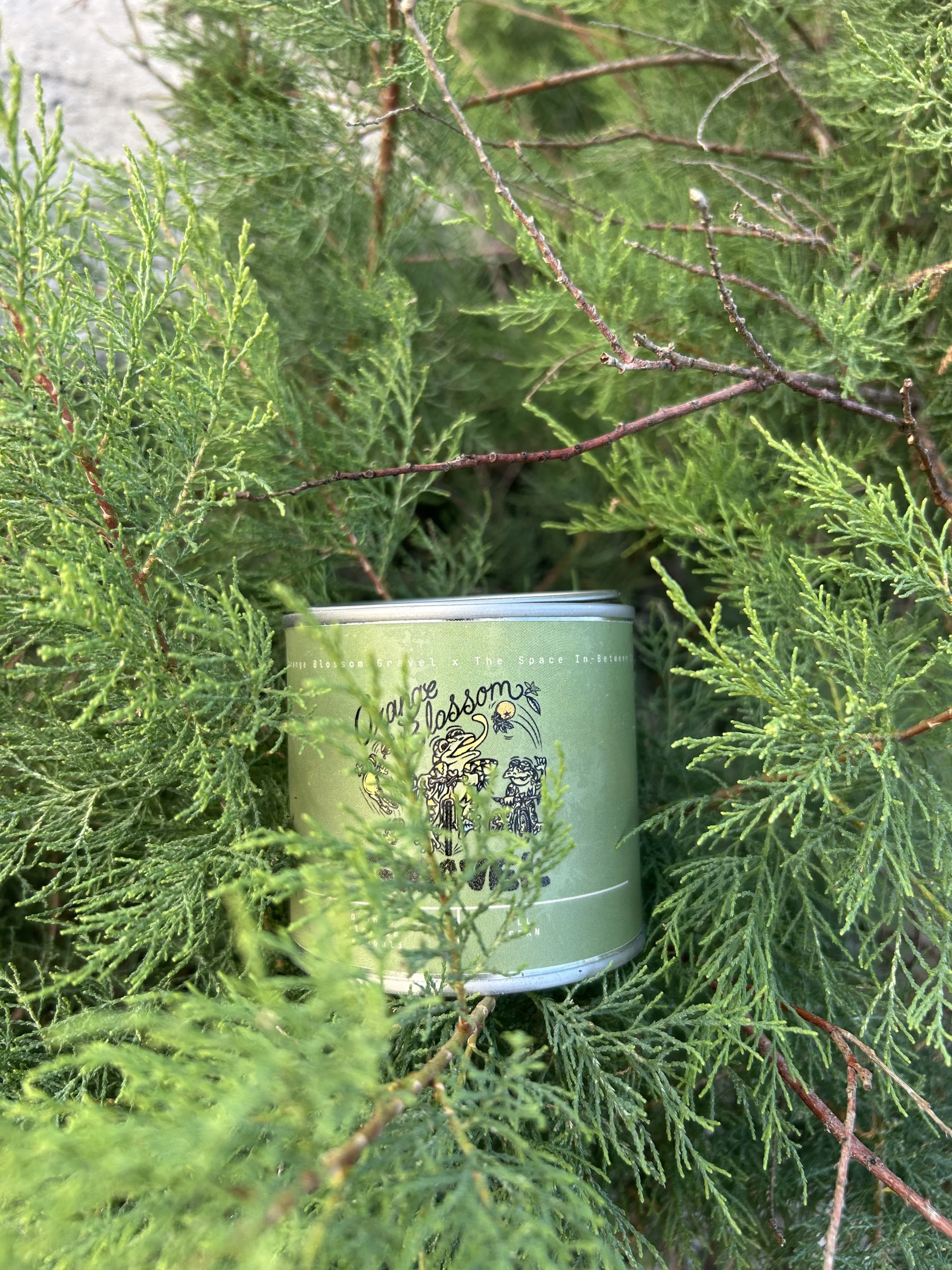 Orange Blossom Gravel Candles 8 oz Pre-Order