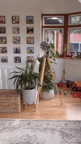 giphy (7).gif