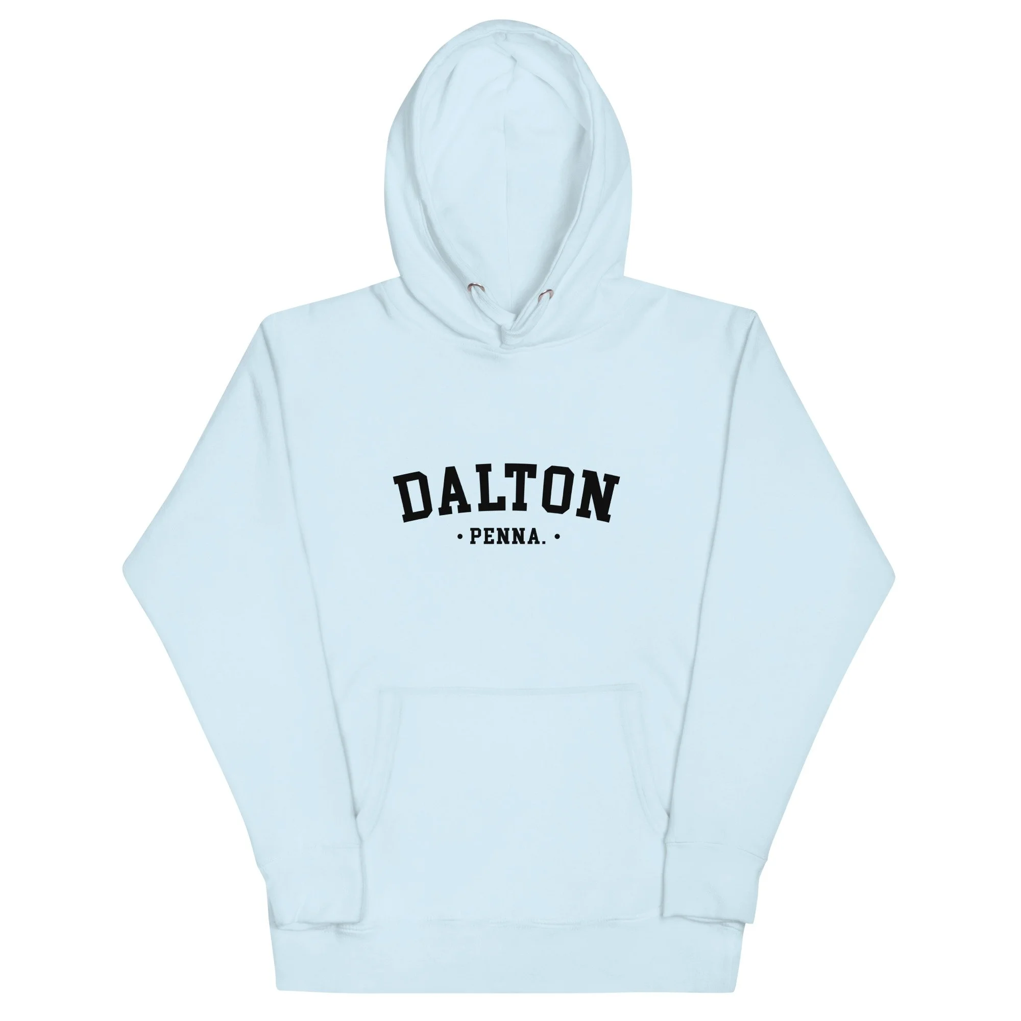unisex-premium-hoodie-sky-blue-front-67102e1f1ee08.jpg