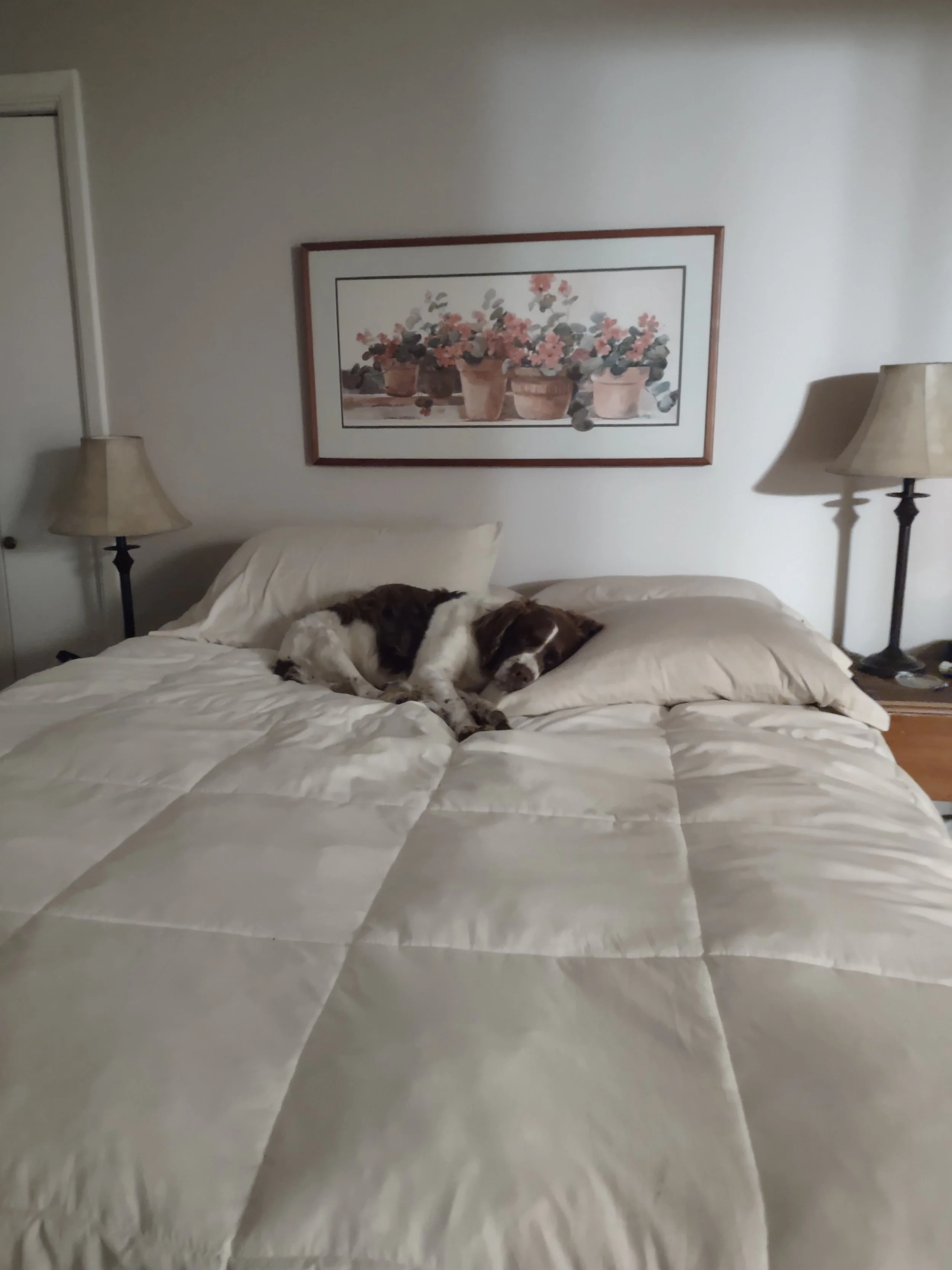 I like a bed with lots of room.