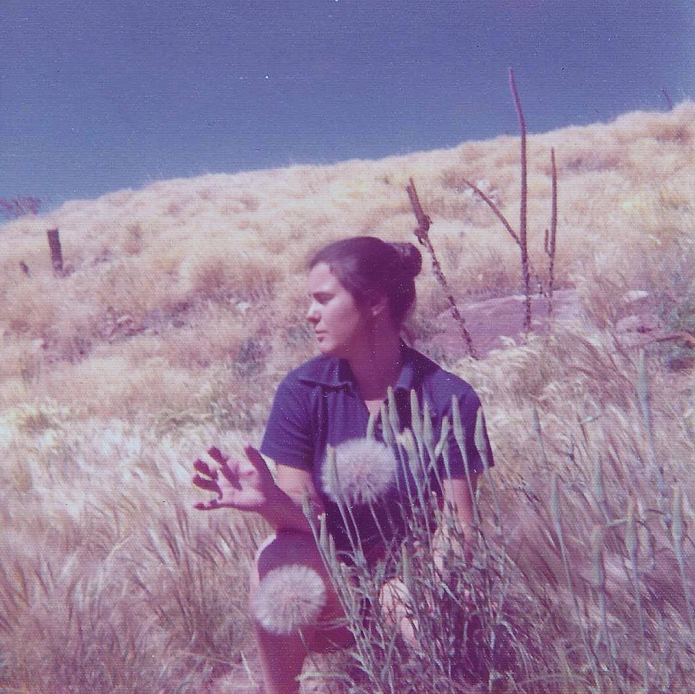 dandelionsPecosNationalPark.jpg