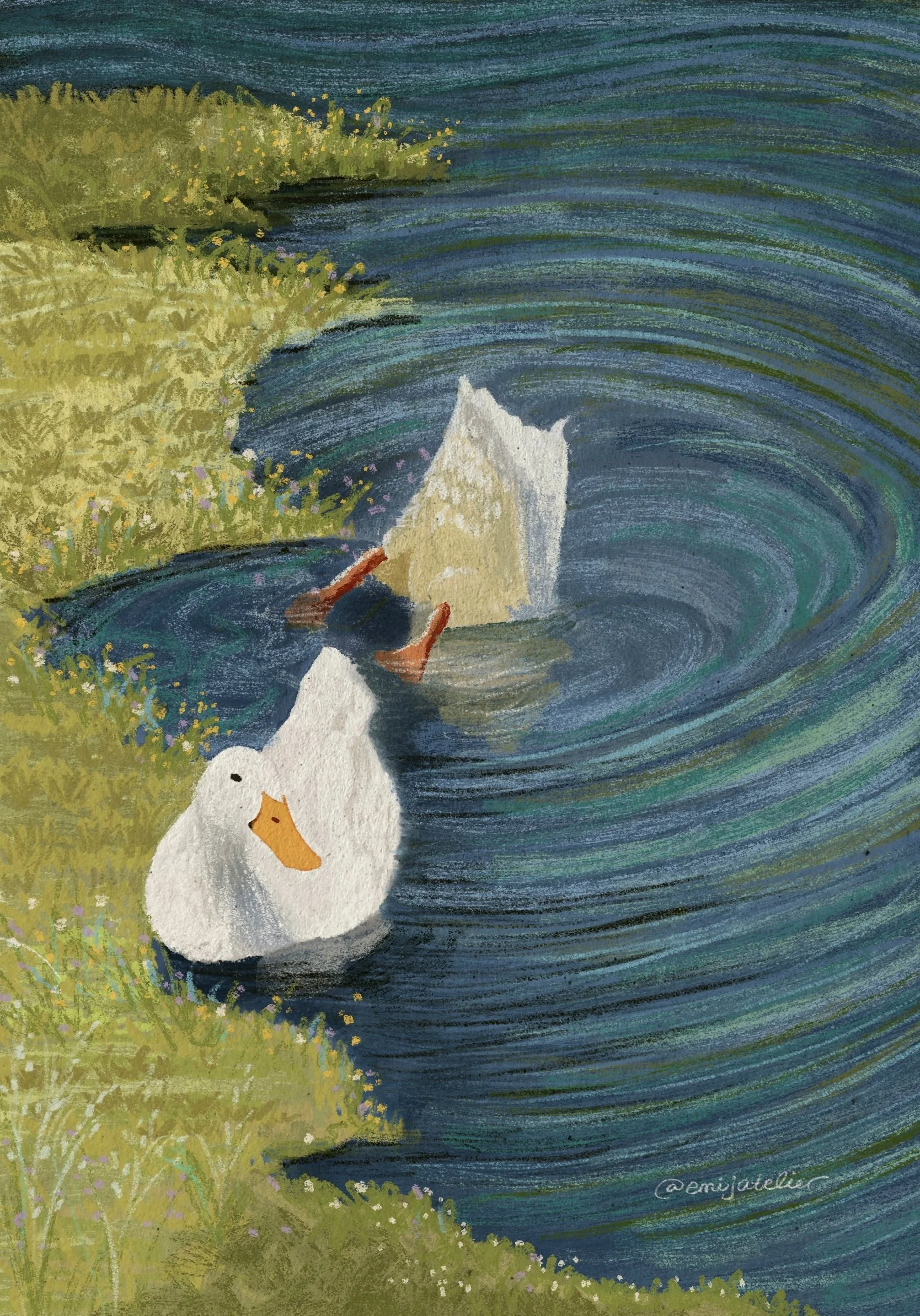 Pastel illustration of two white ducks swimming in a blue pond beside a grassy, wildflower-covered shore.
