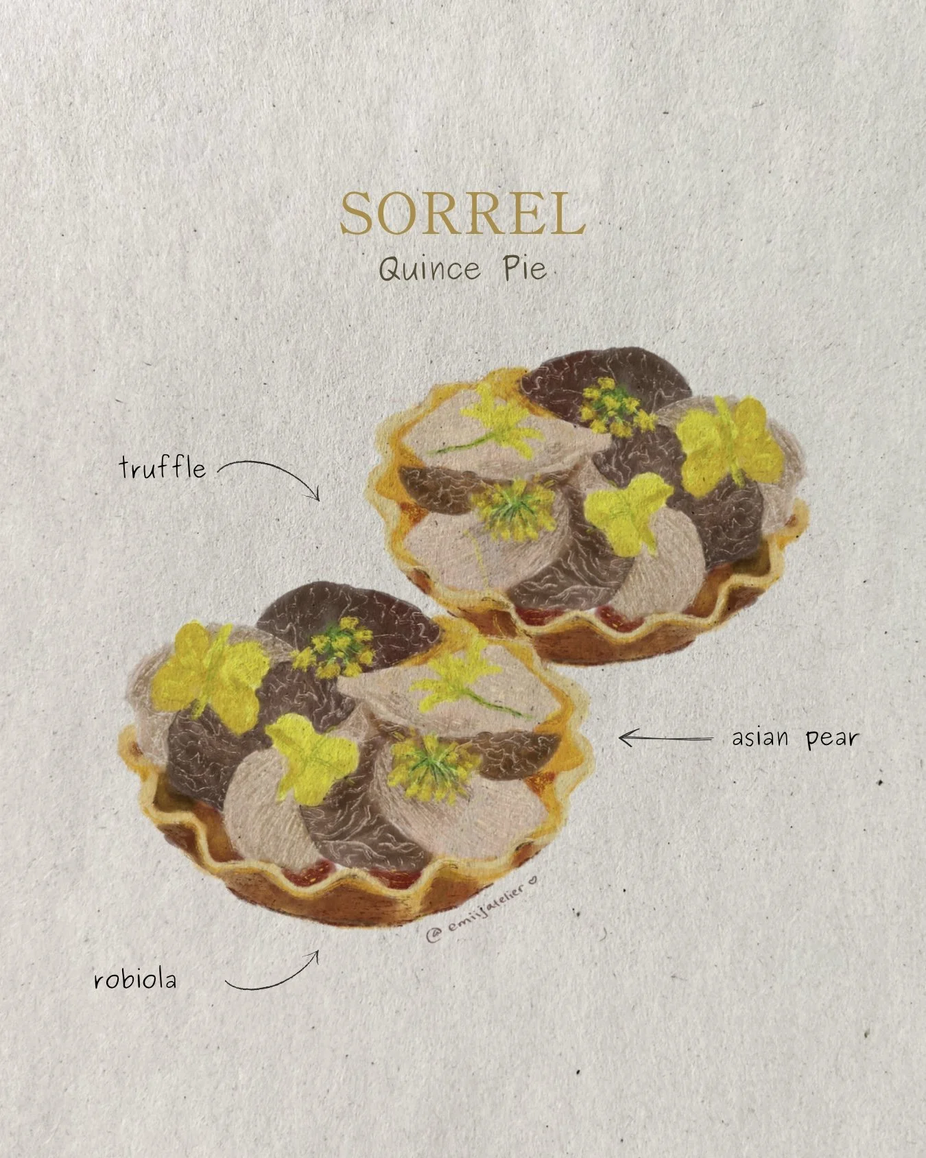 Illustration of two quince pies topped with edible flowers, Asian pear slices, truffle pieces, and robiola cheese, with labels pointing to each ingredient.