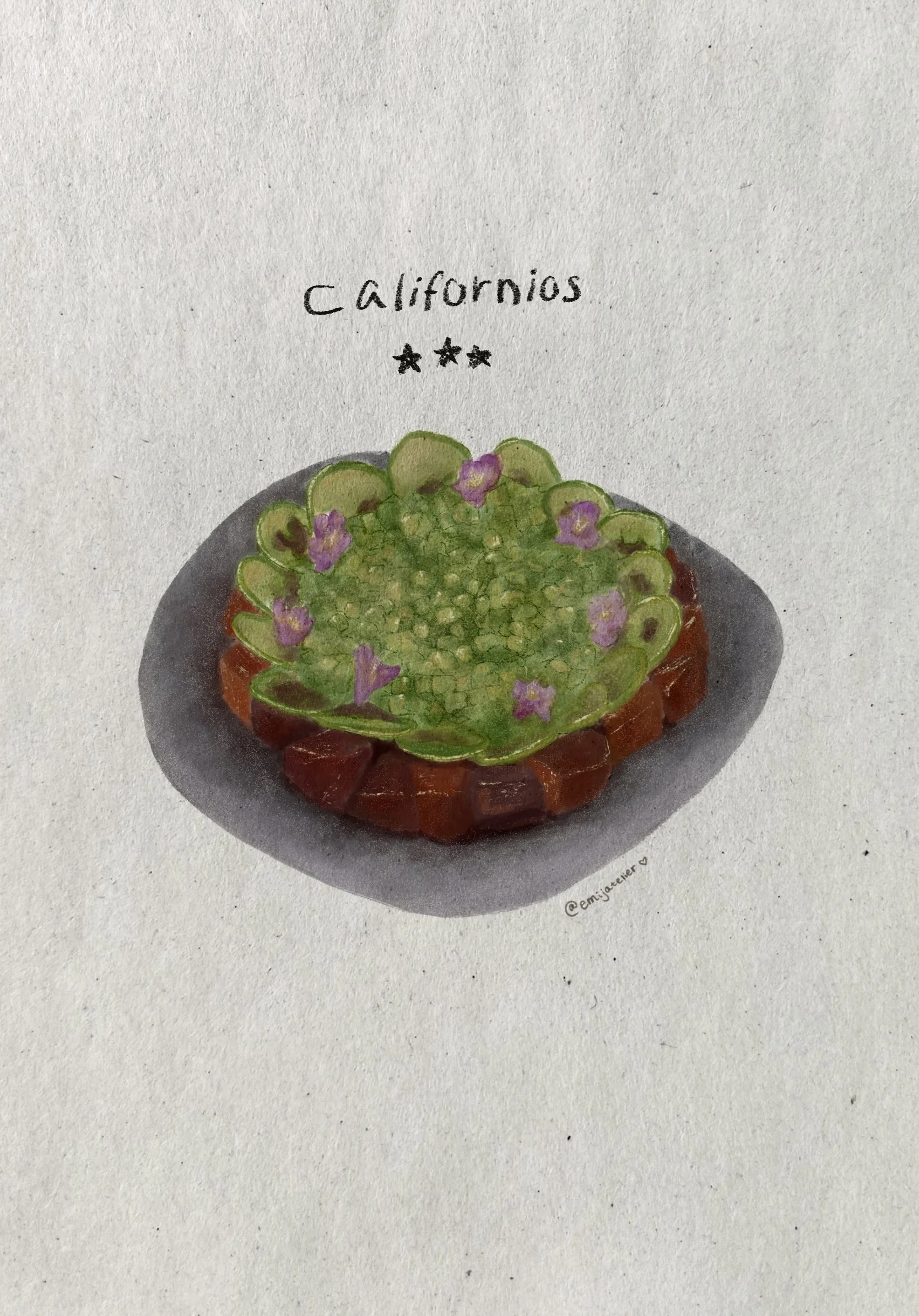 A watercolor painting of a round, green cactus with purple flowers inside a brown pot, with a handwritten note above it that says 'California' and three black stars. The artist's signature '@emjaciator' is at the bottom.
