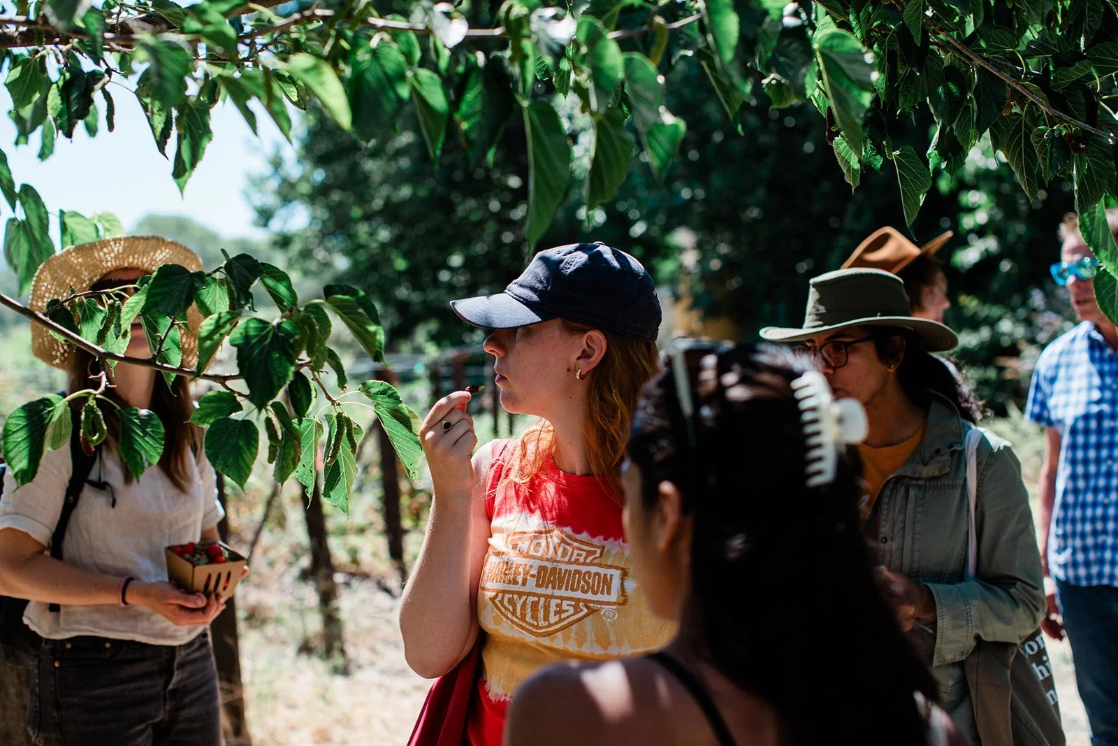 What Is Climate Farm School?