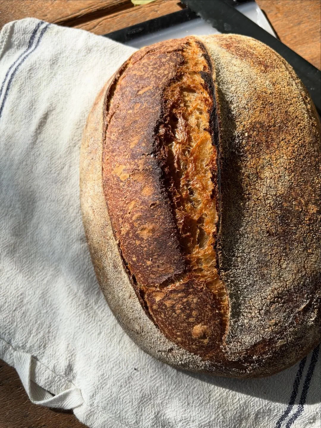 Know Your Grains