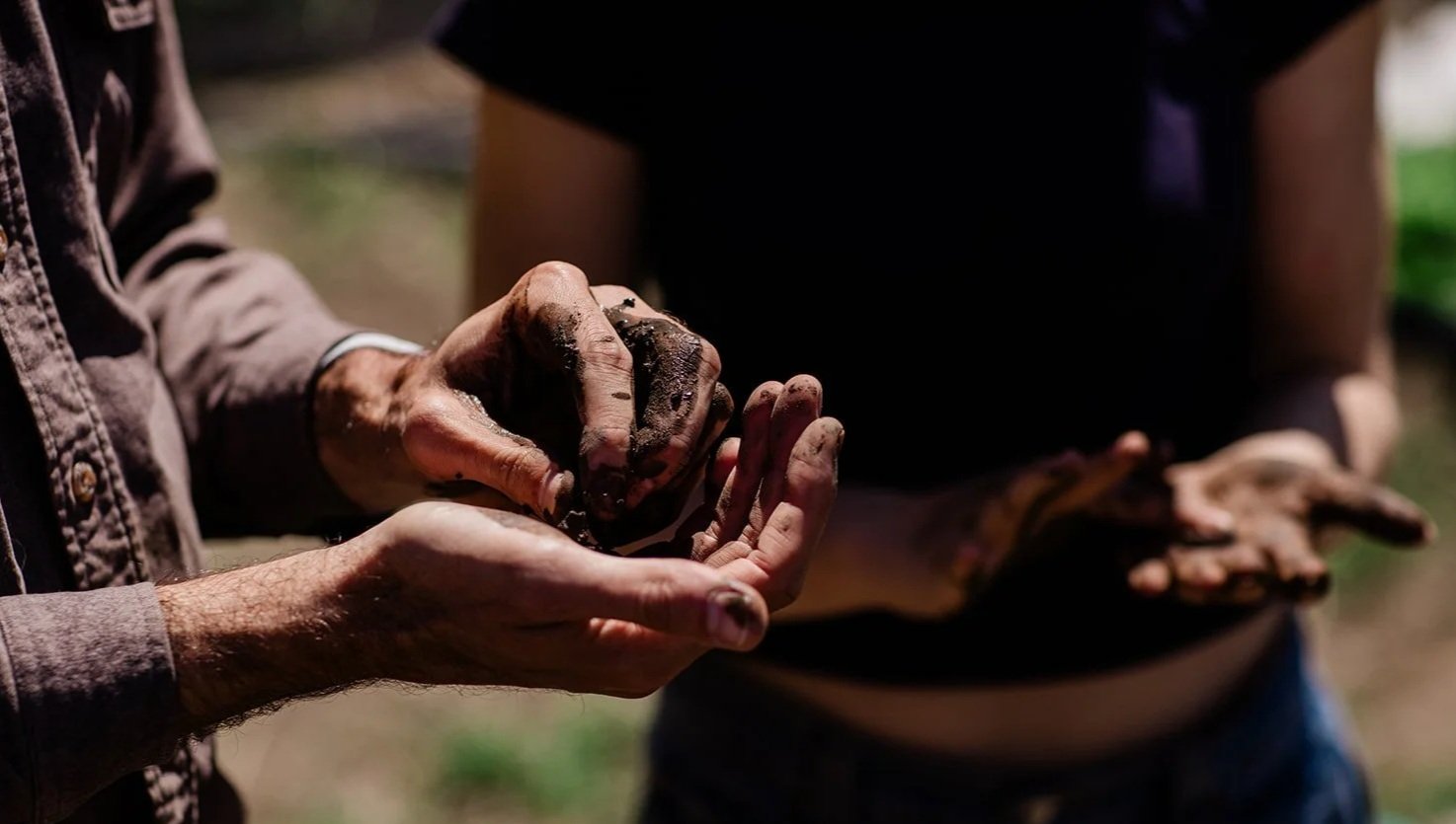 hands holding living soil