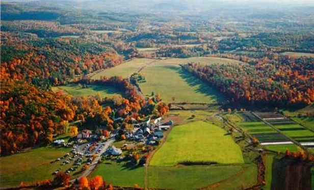 hawthornevalley.webp
