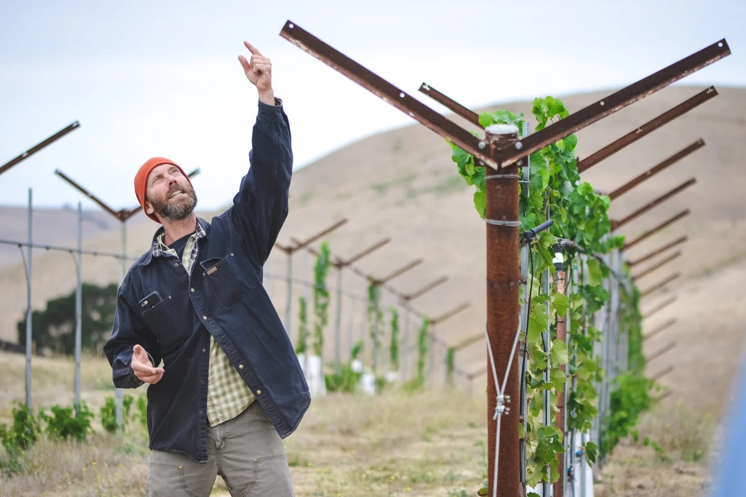 Paicines Ranch Paicines Ranch — Climate Farm School