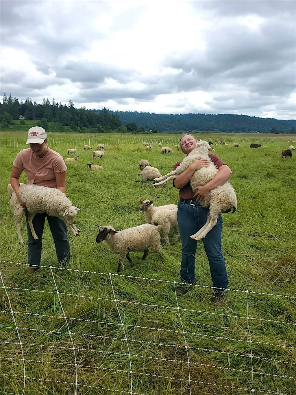 rot-grazing.jpeg