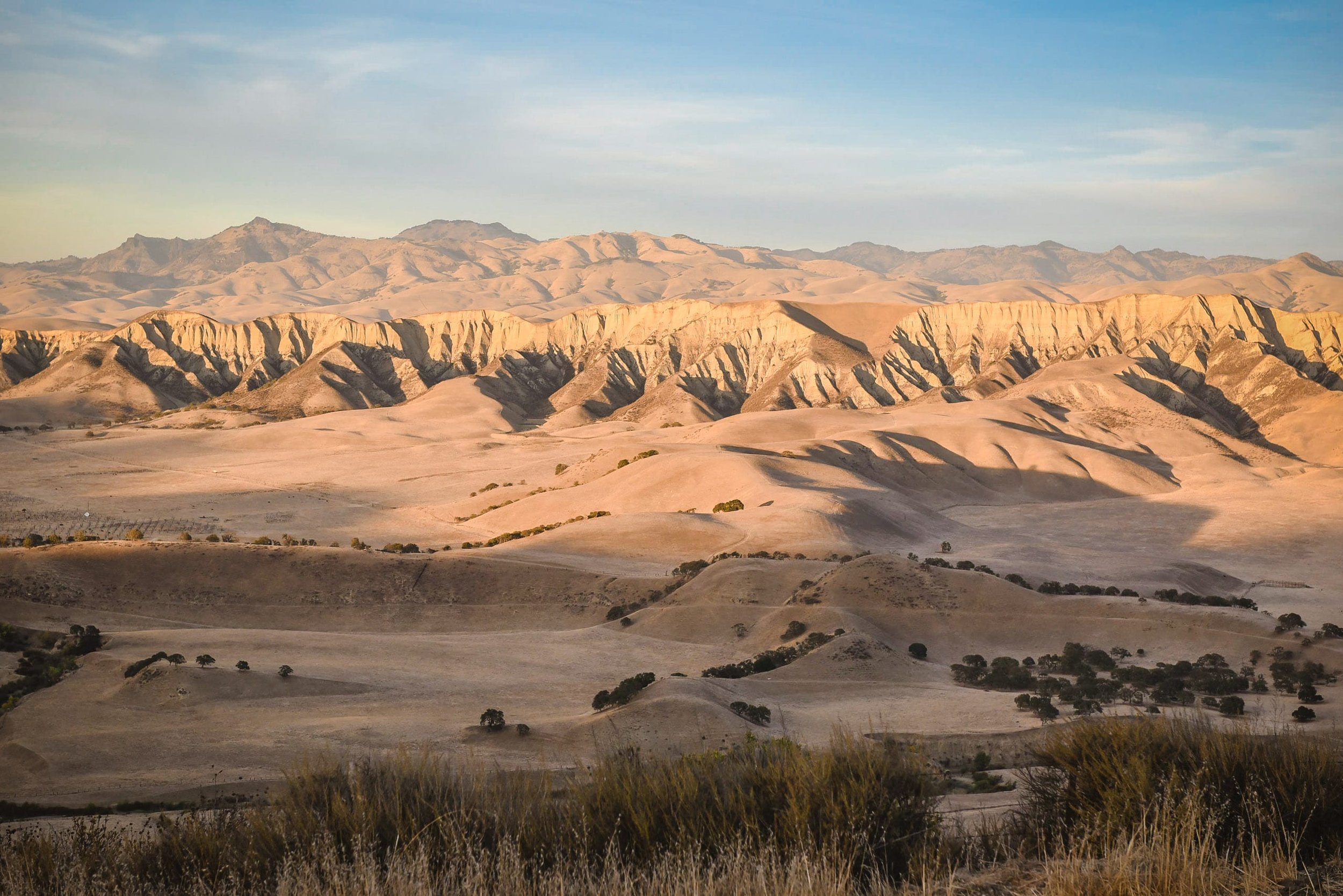 Paicines big view.jpg