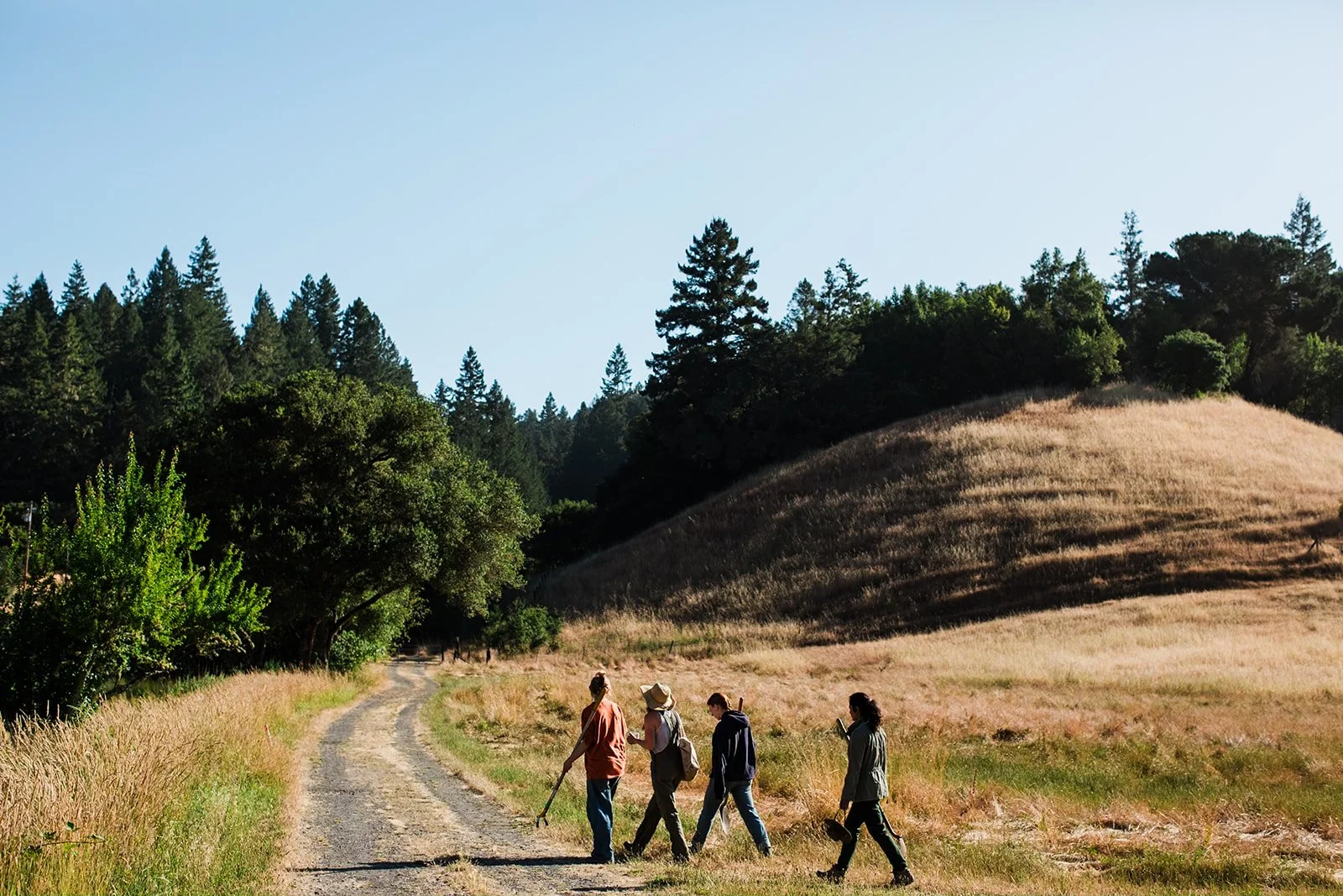 July 20 - 24 | Families Course | Sebastopol, California