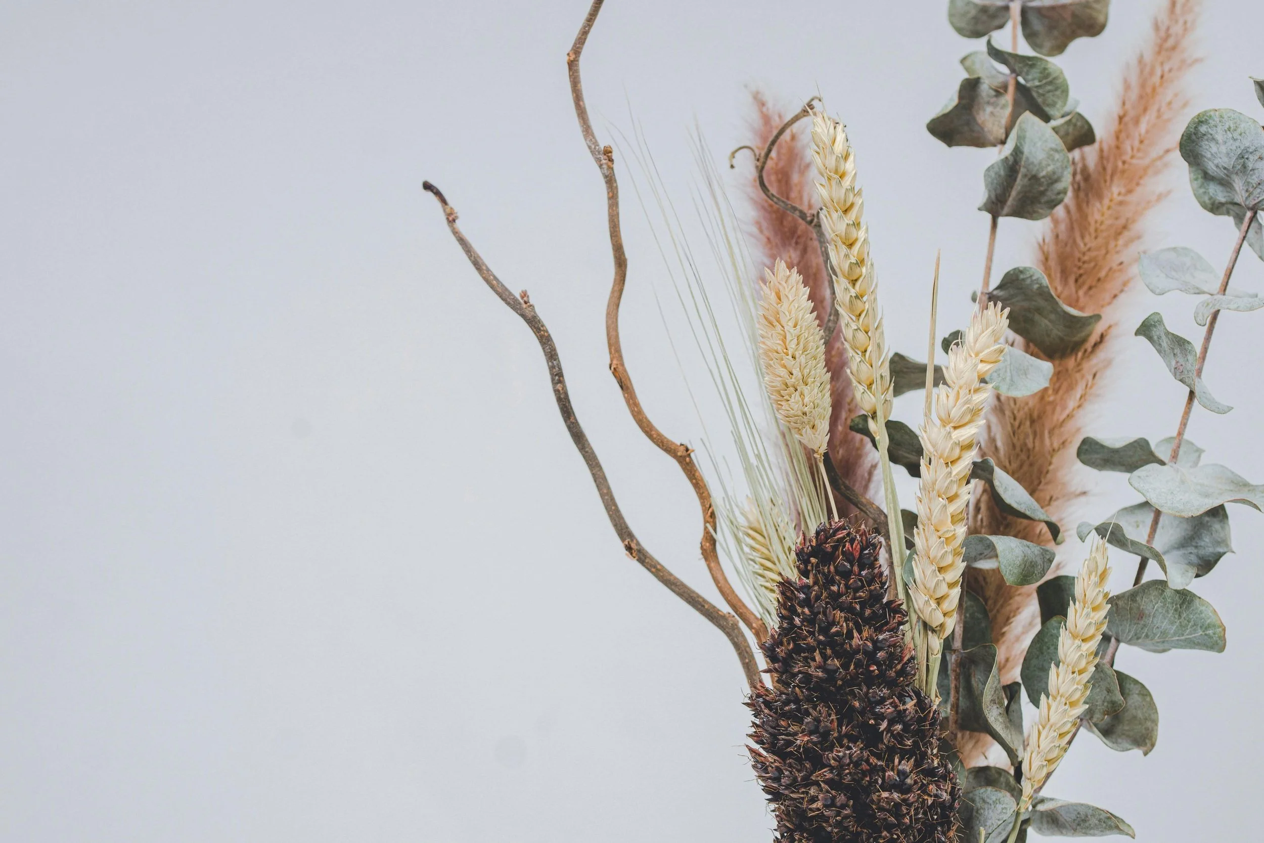 A close-up of a dried floral arrangement featuring wheat stalks, eucalyptus leaves, and pinecones against a light background.