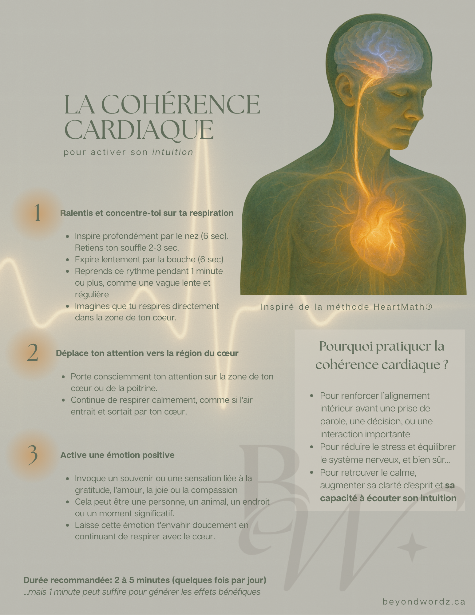 Coherence Cardiaque - BW.png
