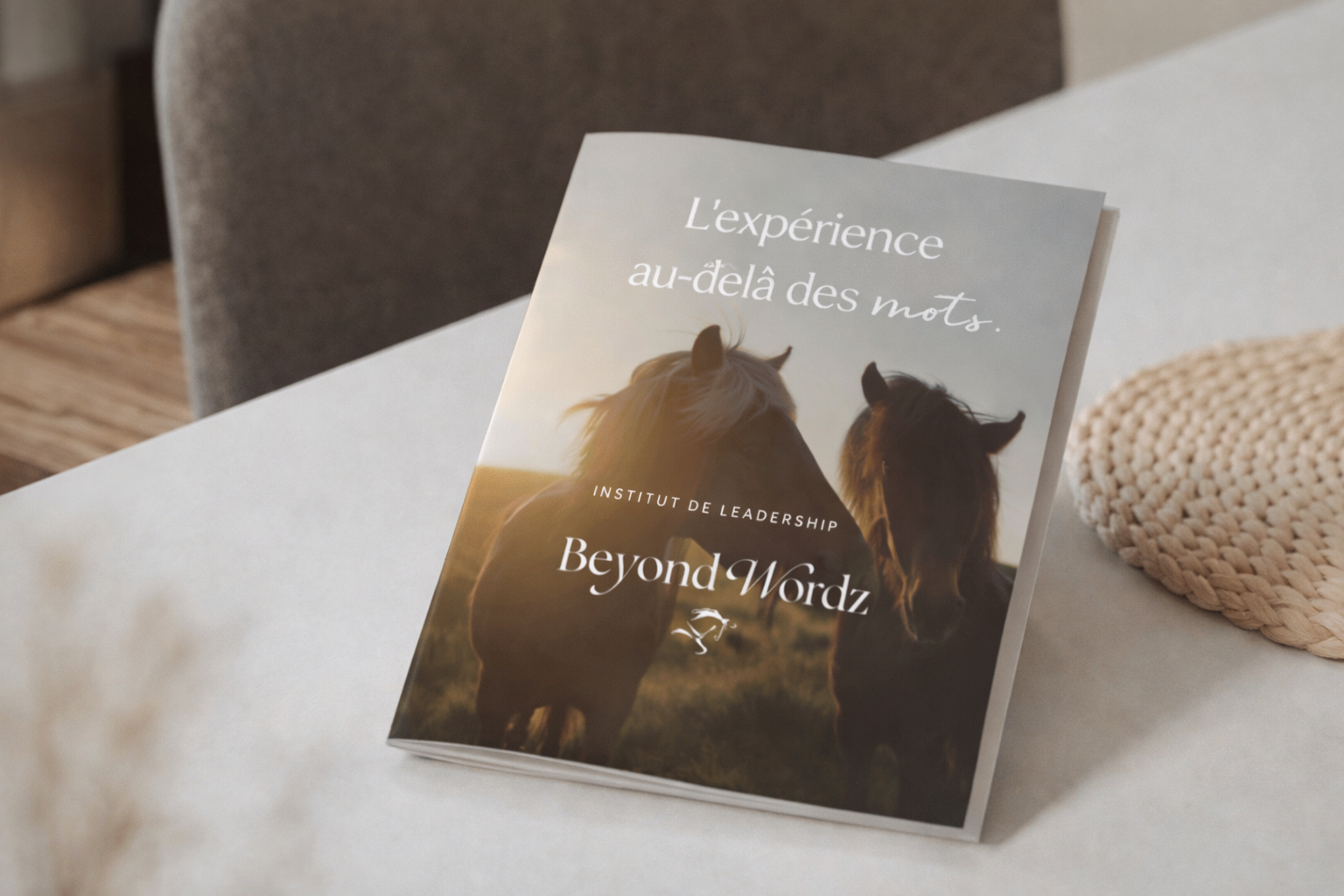 Image Brochure.png
