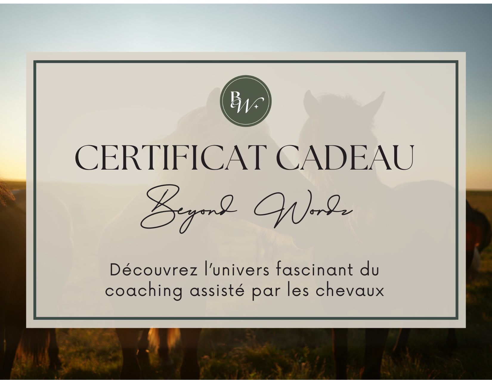 Certificat.png