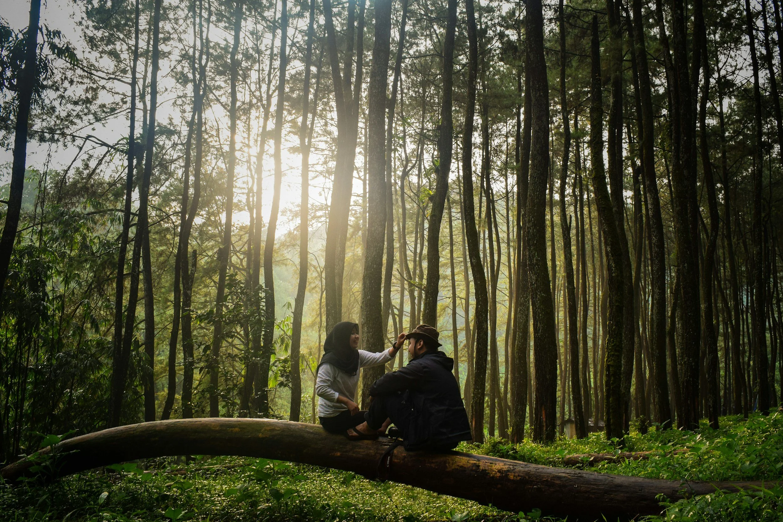 A man and woman sitting on a log in the forest. The woman is wearing hijab and reaches out to touch the hat of the man.