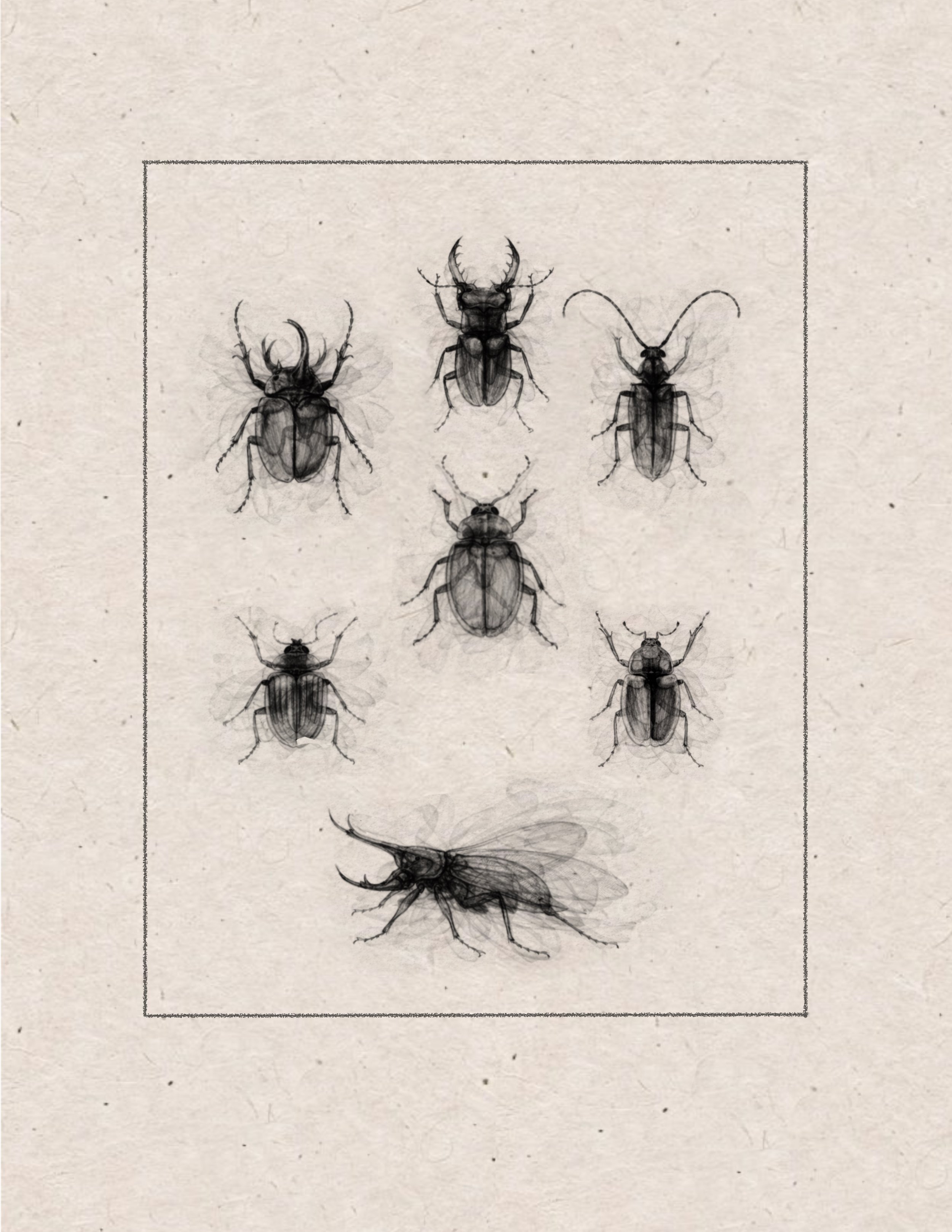 Untitled_Artwork 27.jpg