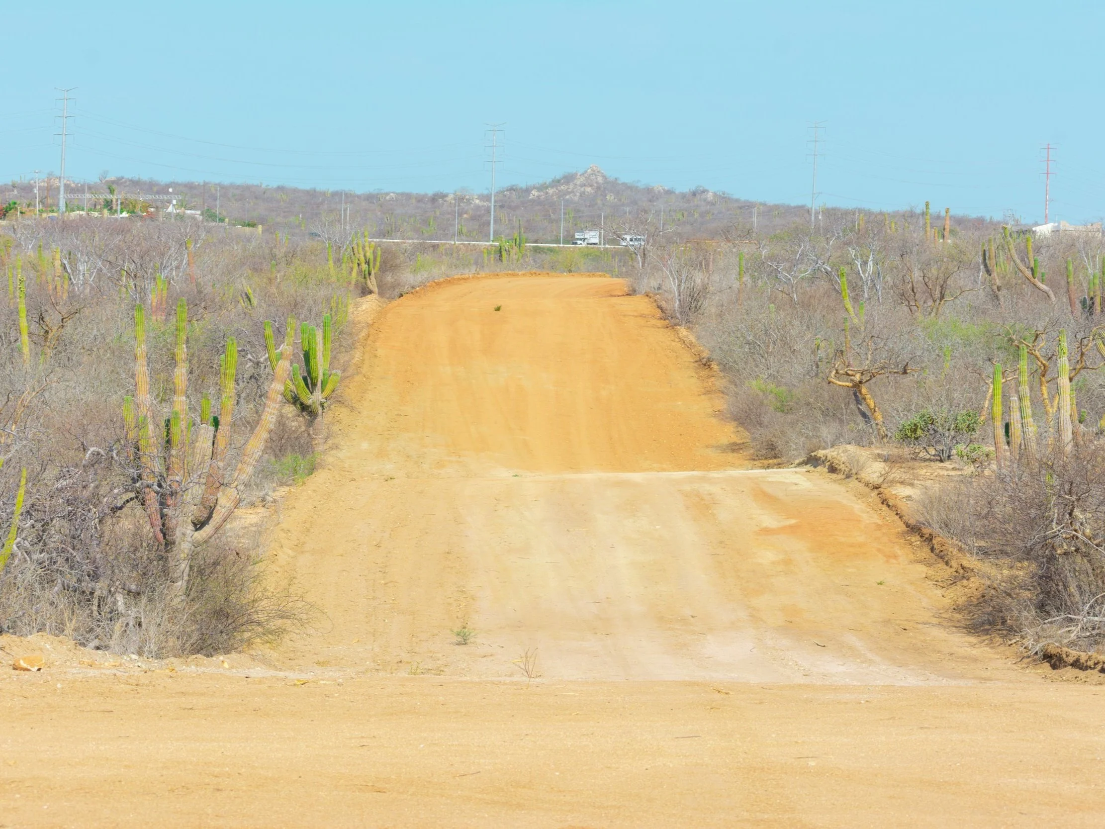 DSC_6492.jpg