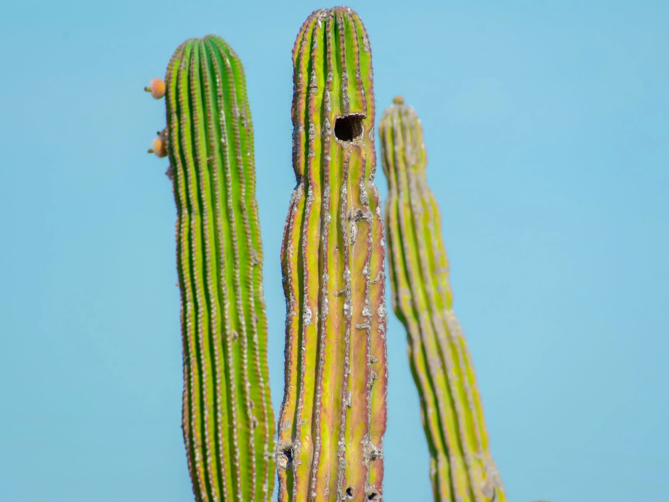DSC_6513.jpg