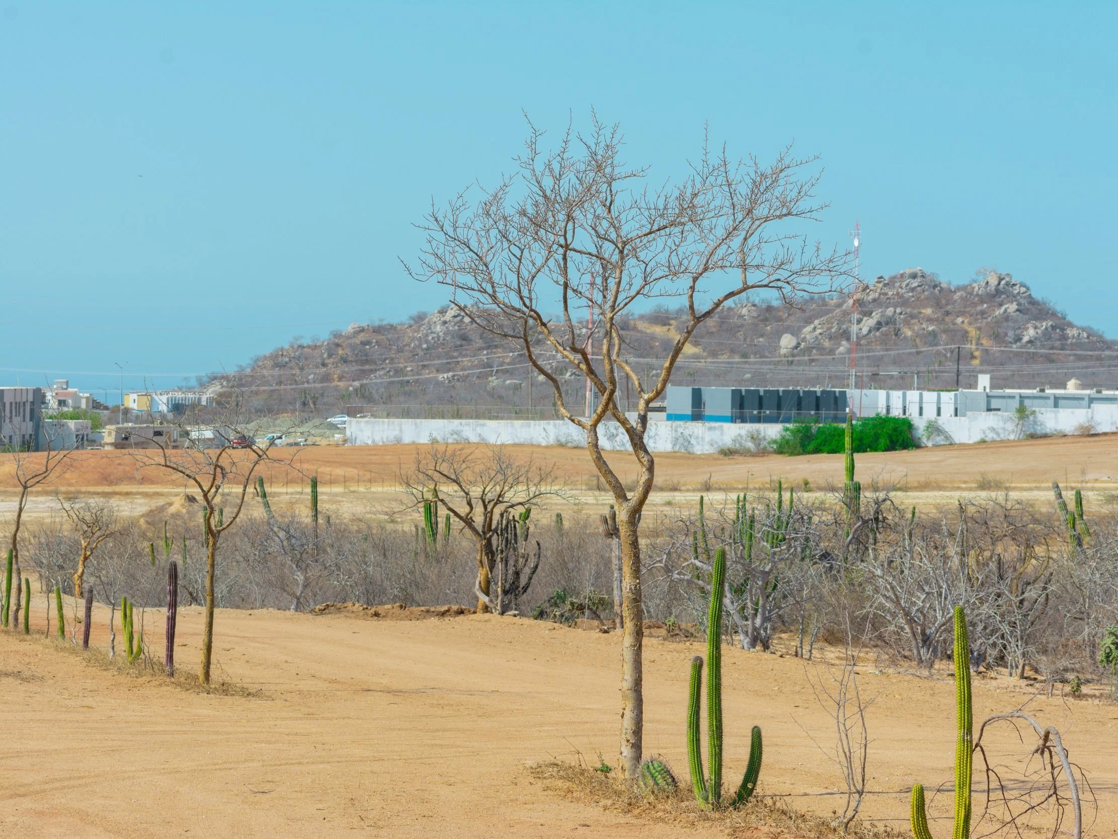 DSC_6514.jpg