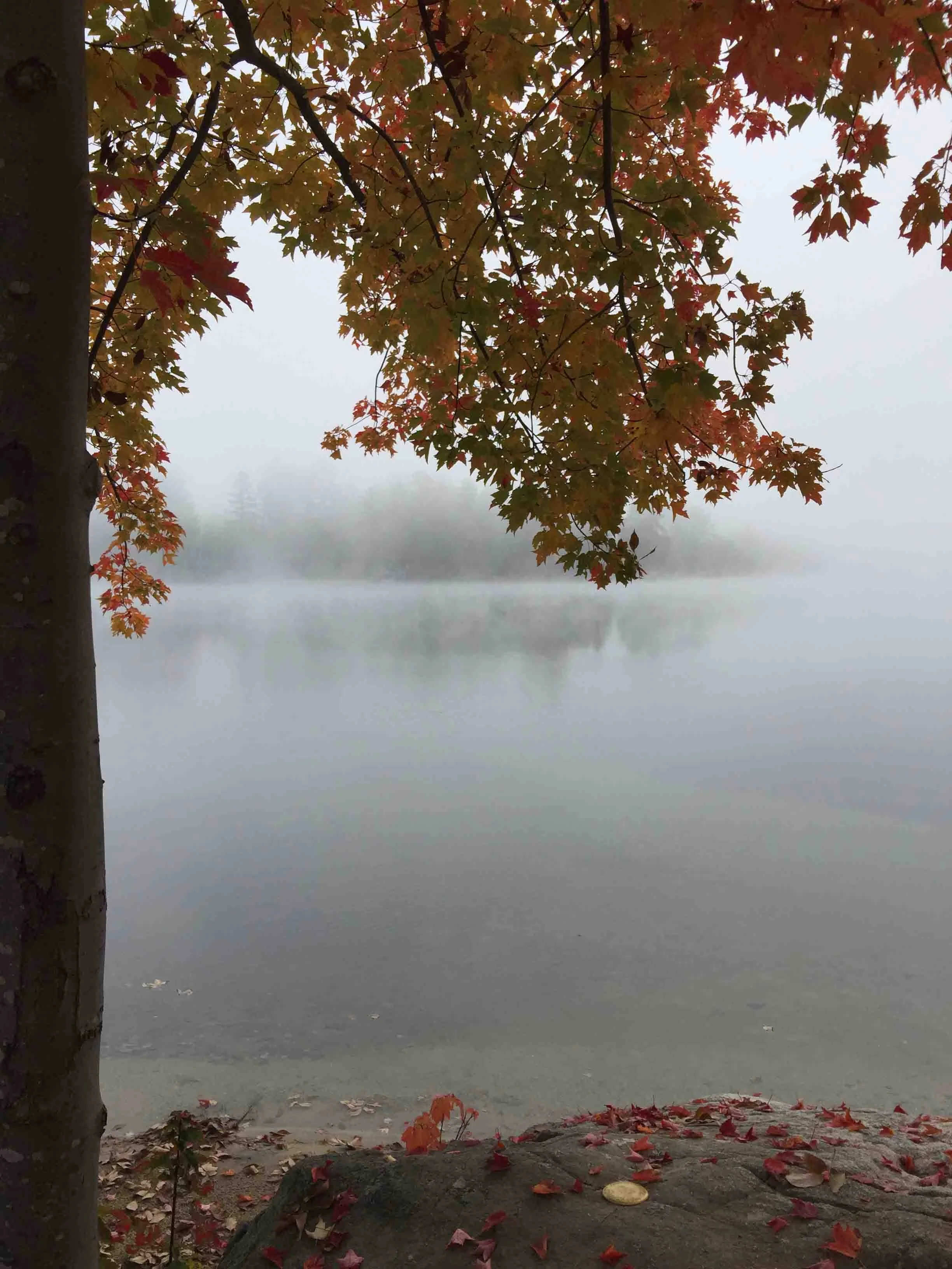 Cheryl Mitchell Acceptance Climbing Rocks Studio (18).JPG